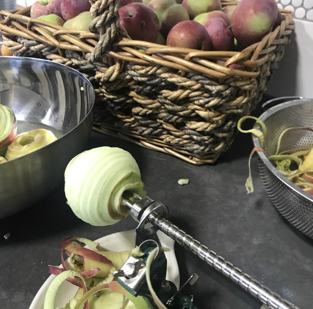 Farm Fusion apple spinner
