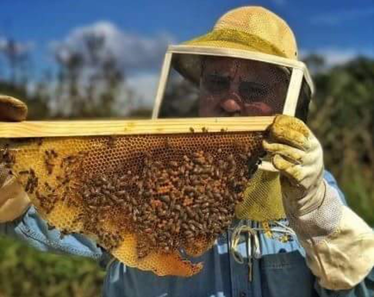 Farm Fusion bee keeper
