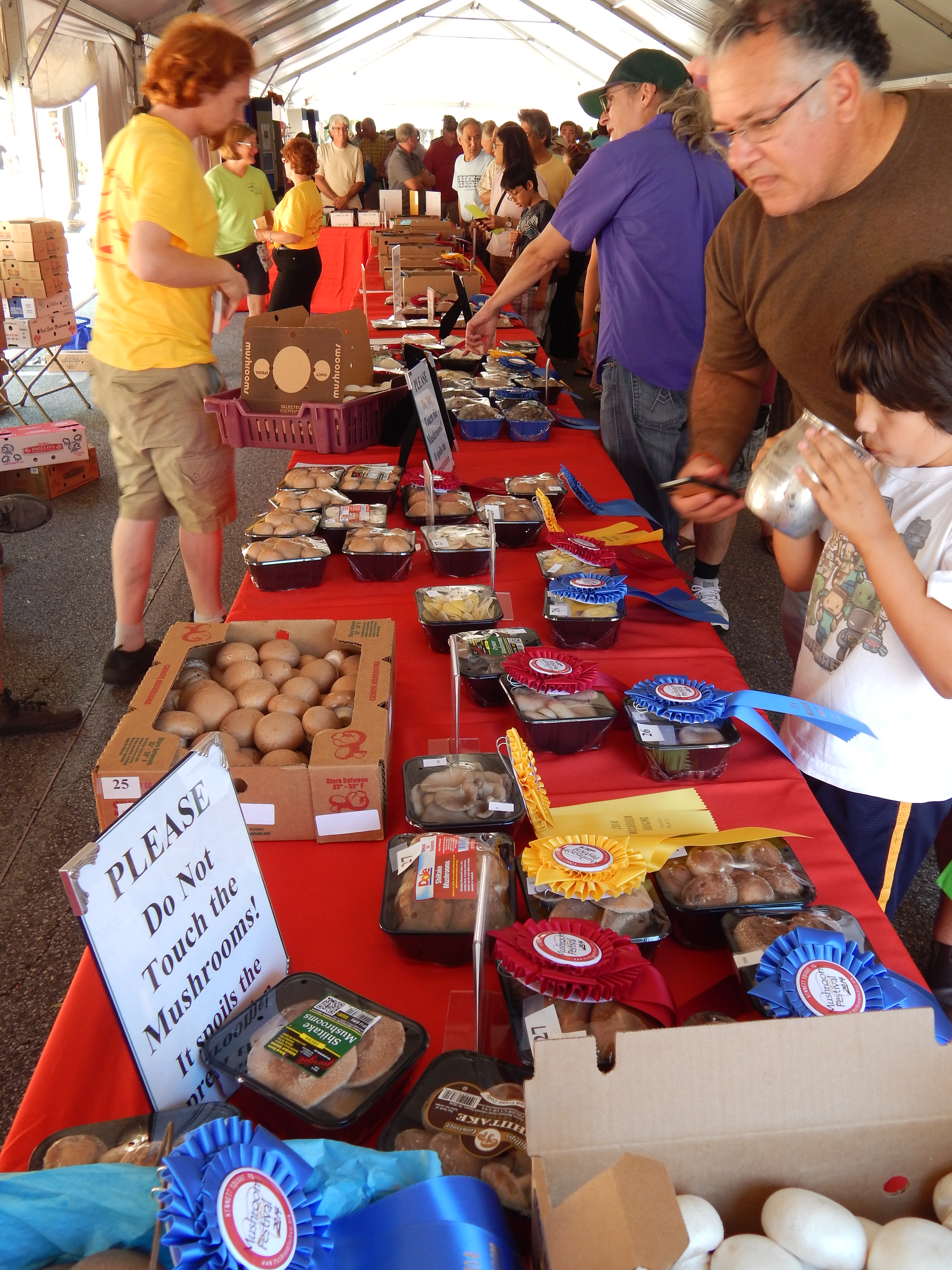 Mushroom Festival