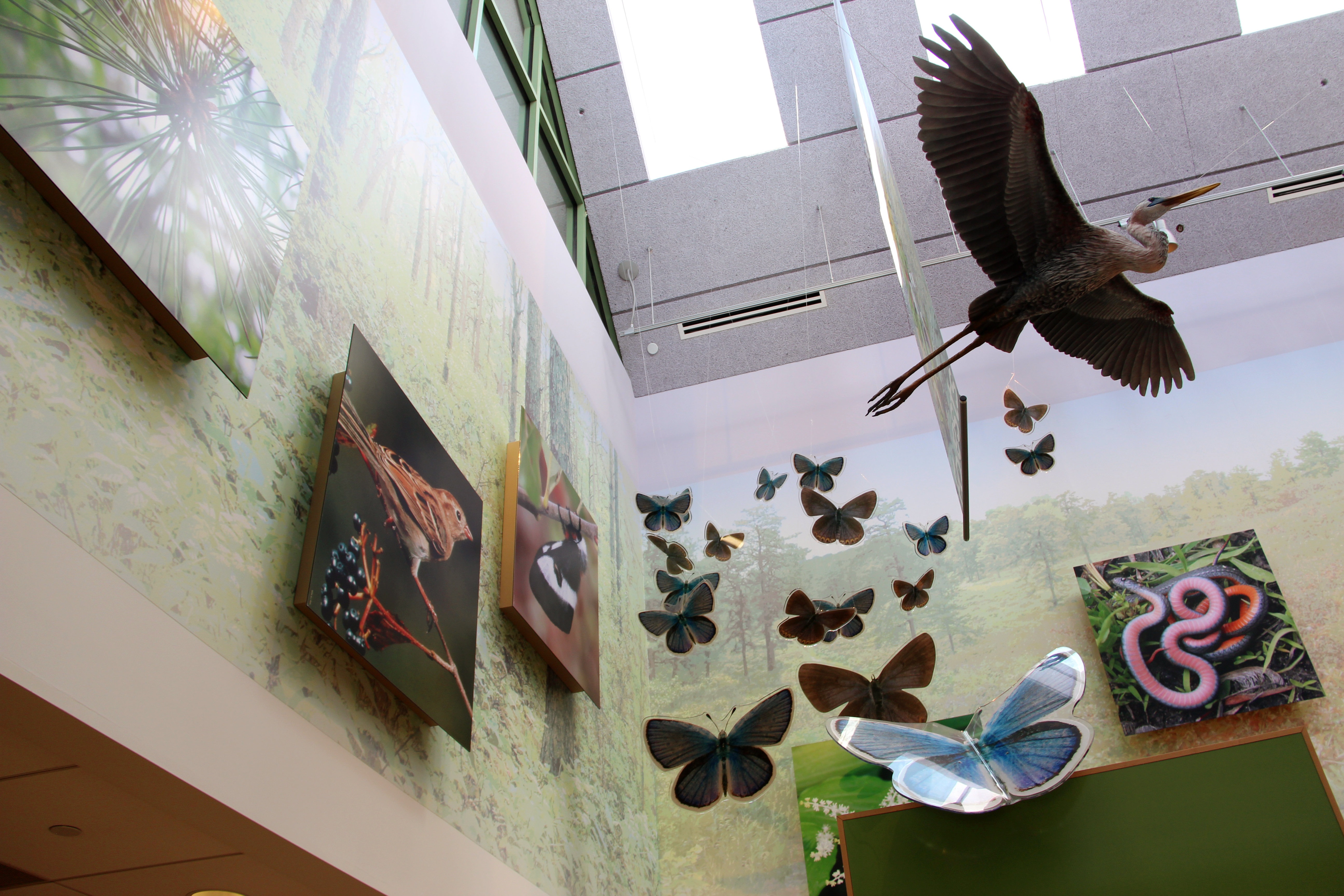 Pine Bush Discovery Center