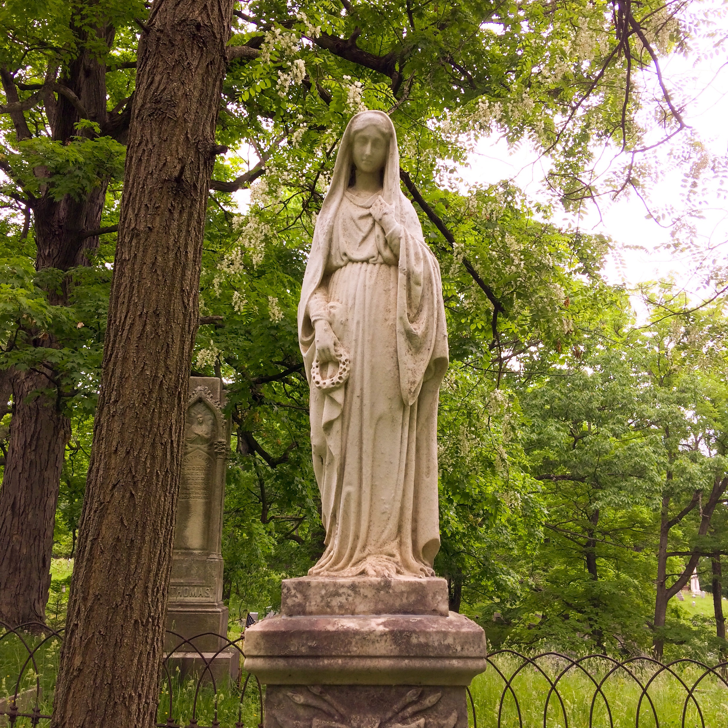 Albany Rural Cemetery