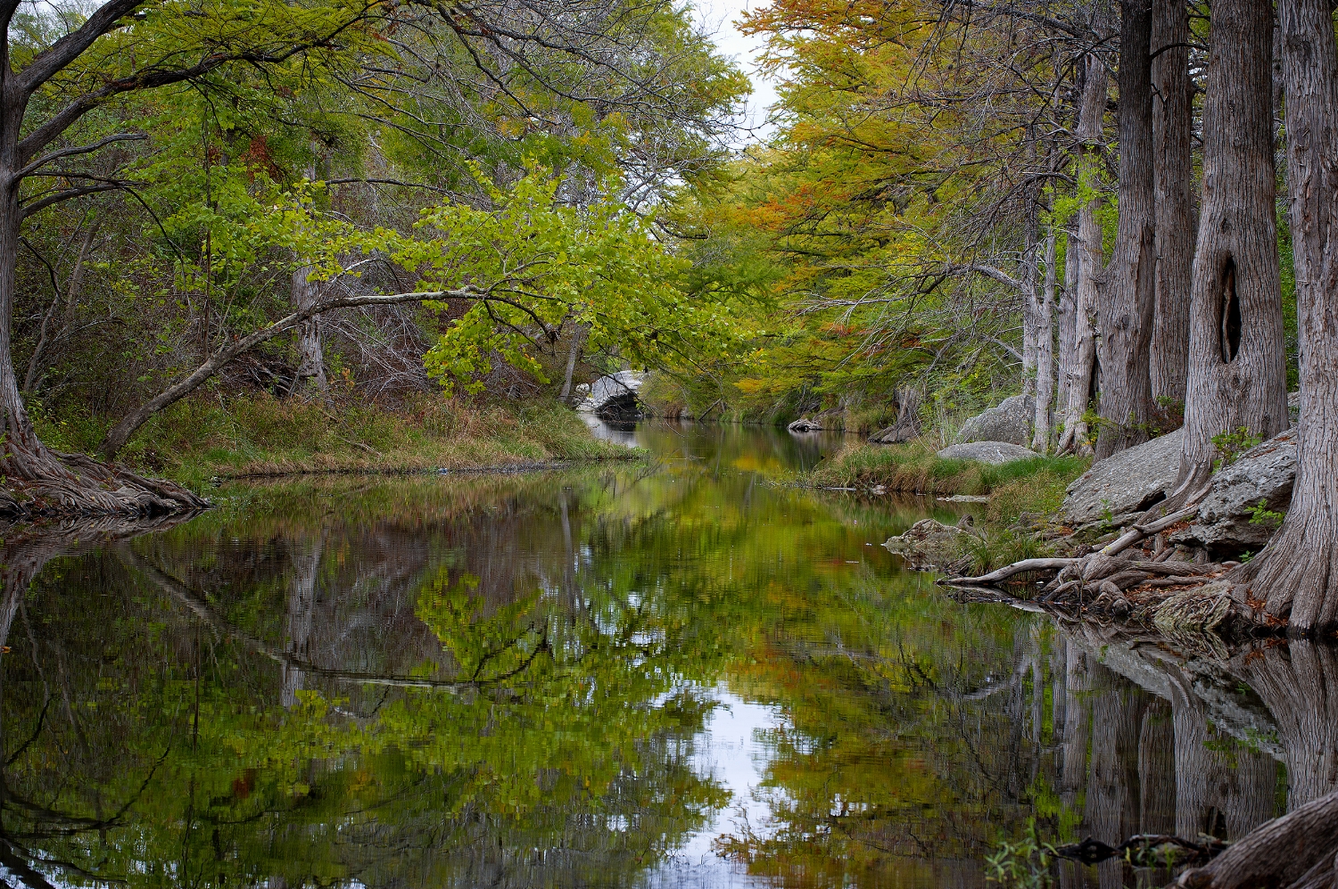 Rv Parks Camping In Austin Tx State Parks Rv Resorts
