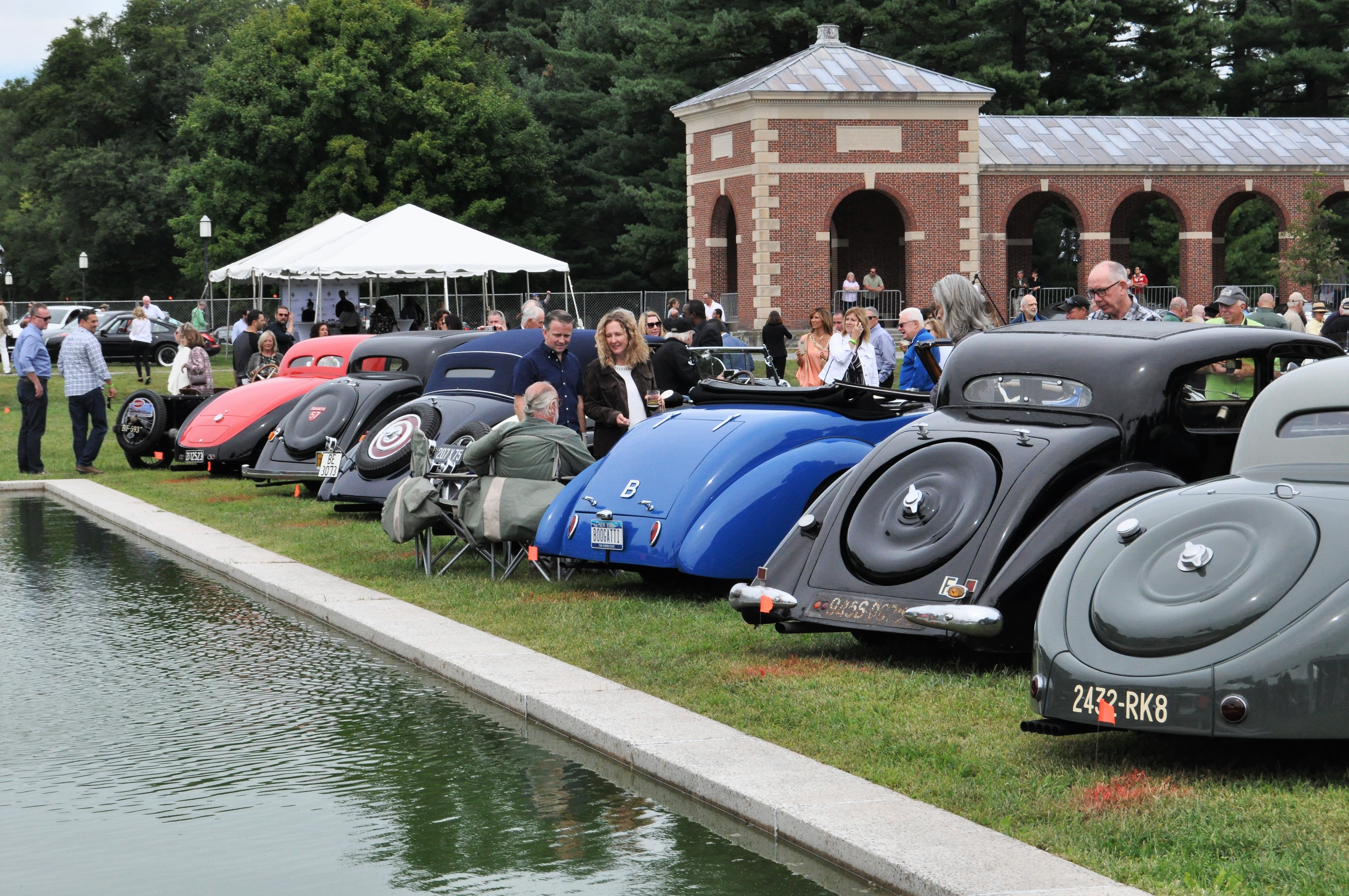 Back ends of Bugattis along the pool