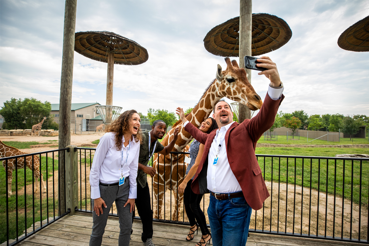 Tanganyika Group Selfie with a giraffe