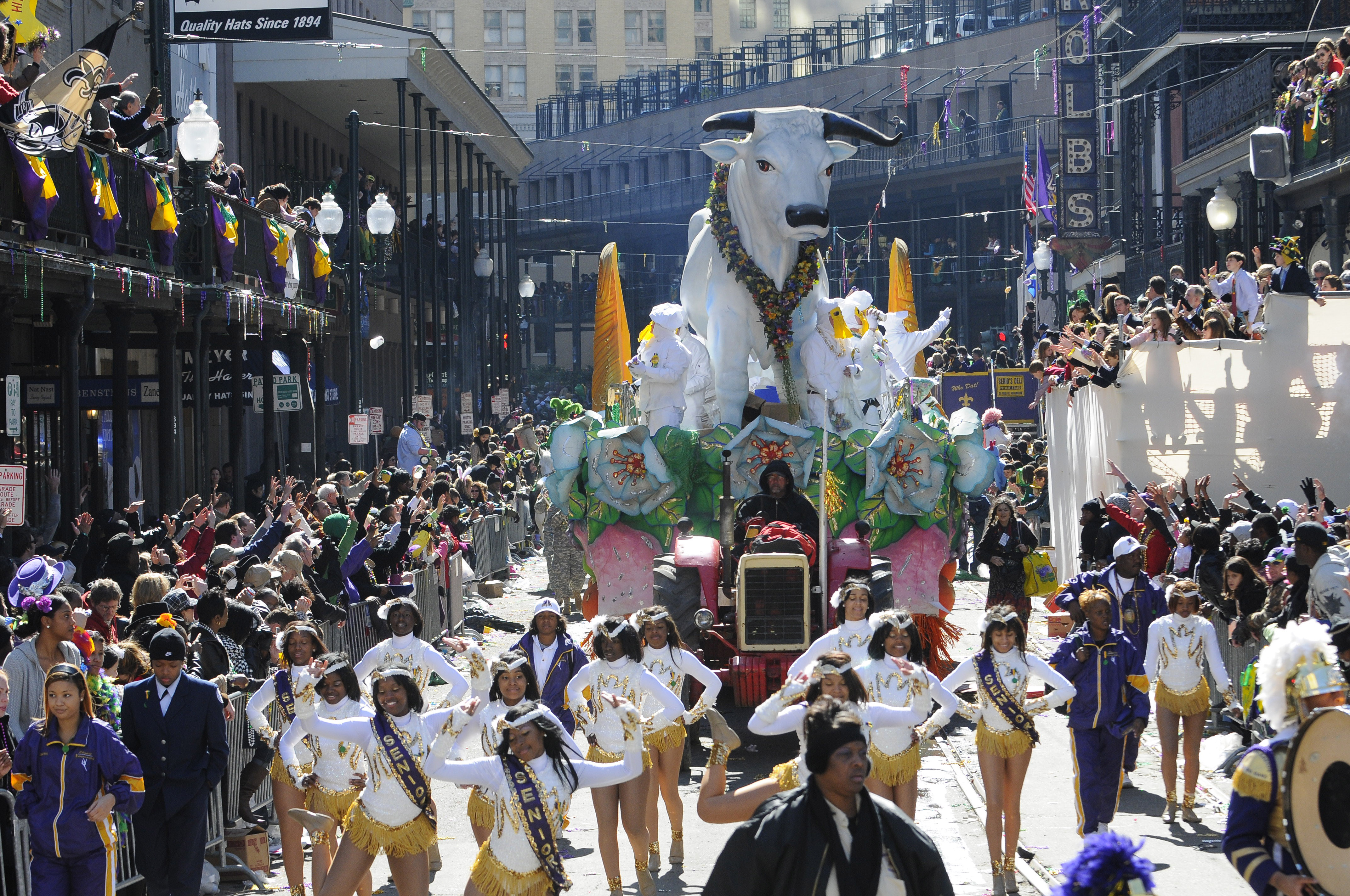 New Orleans Parades January 2024 Anni Malena