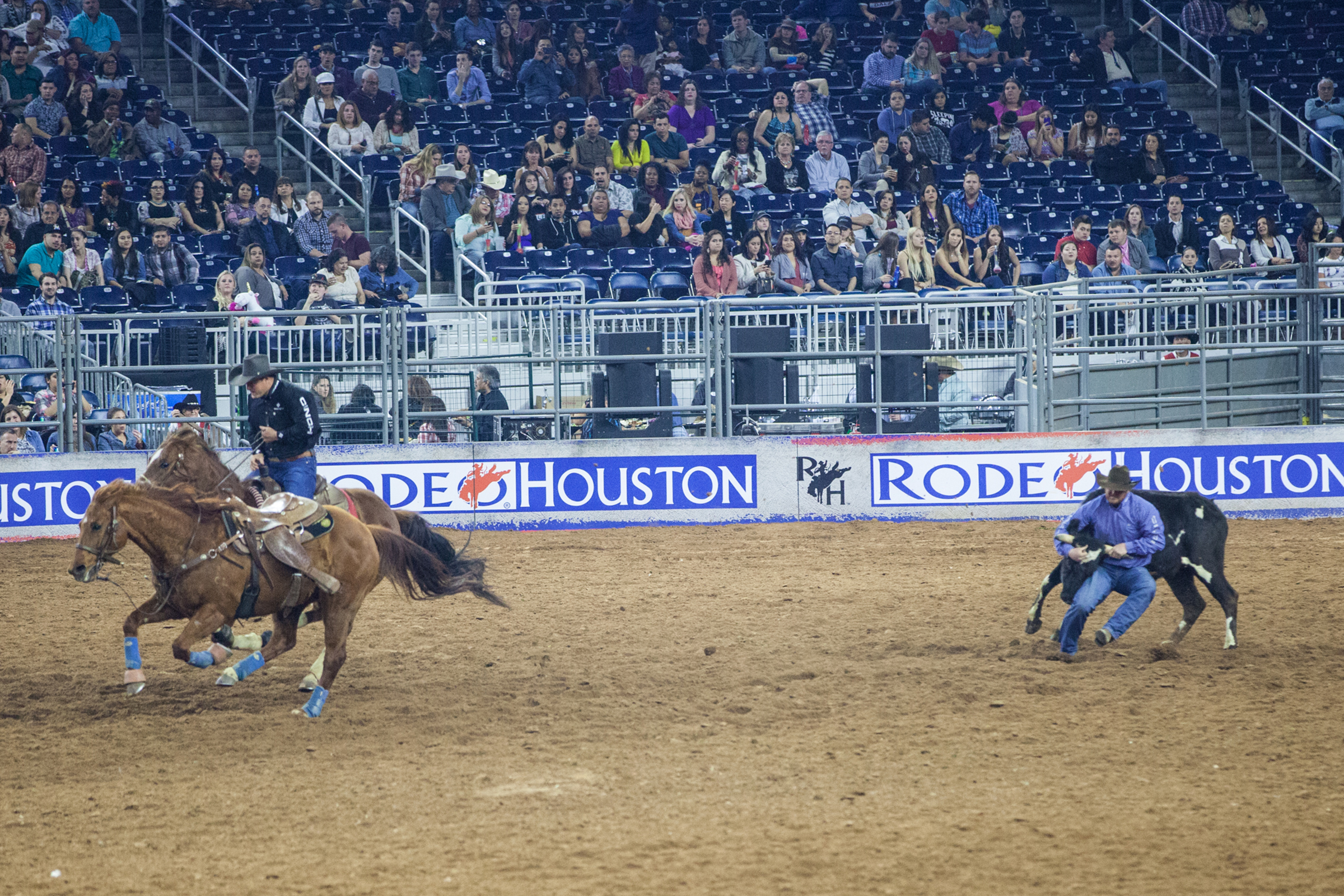 Texas Rodeos & Events | Houston & San Antonio