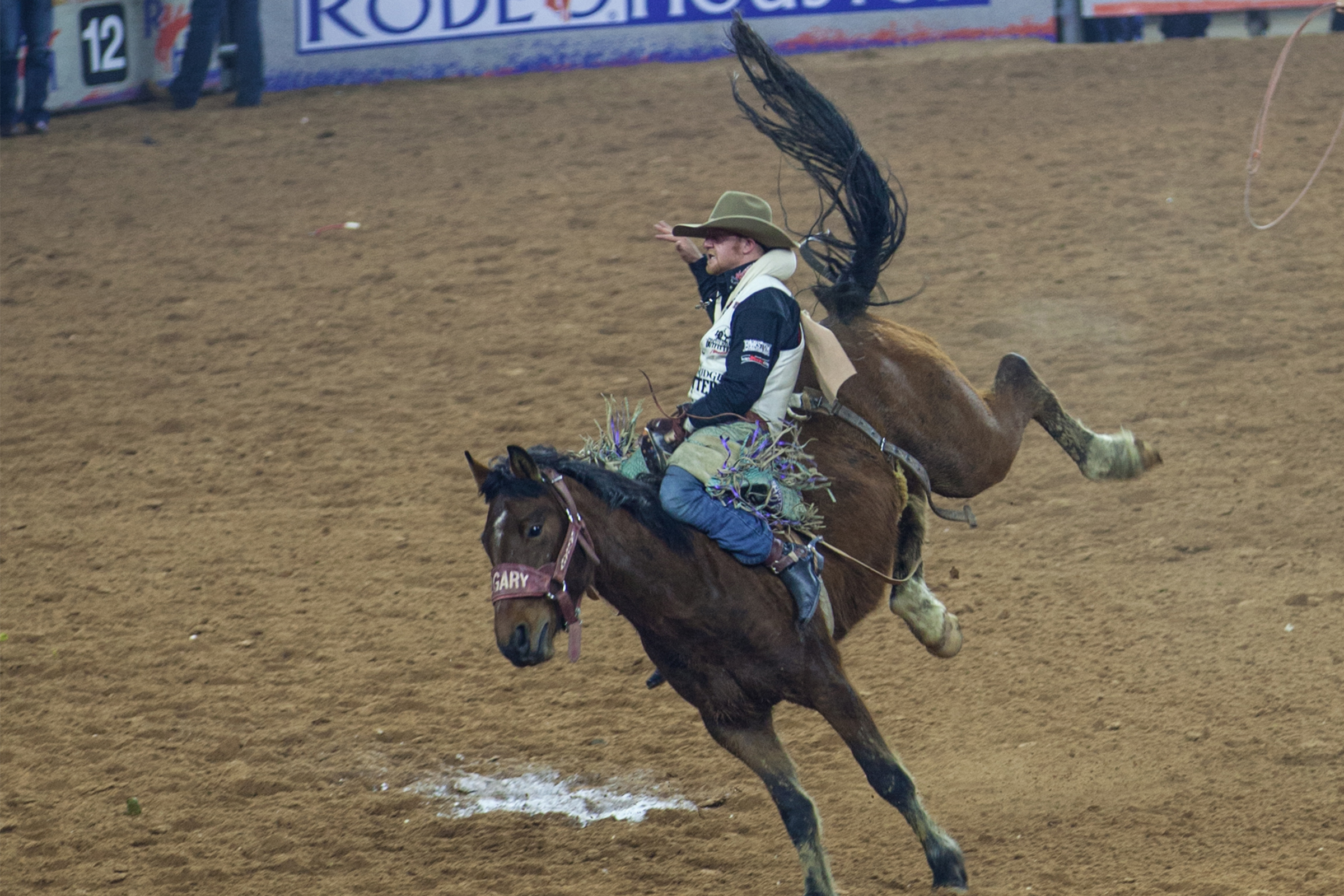 rodeo roundup
