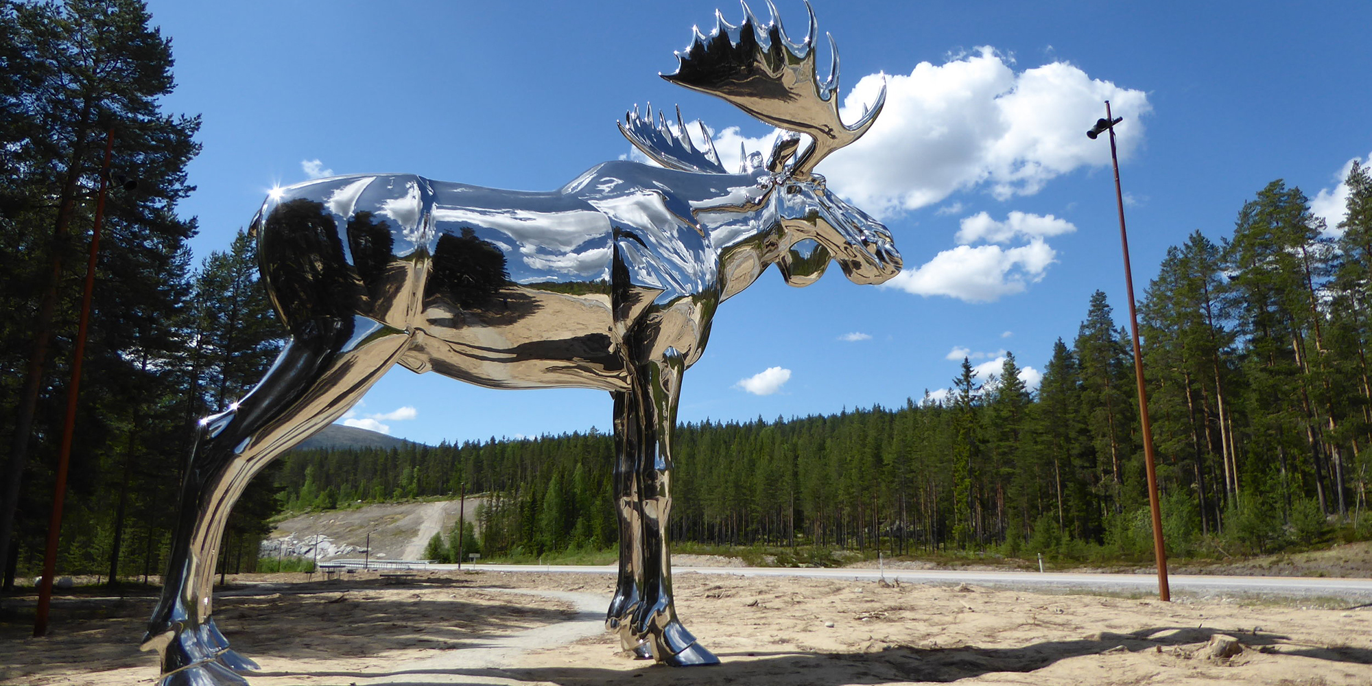 Meet the Norwegian moose
