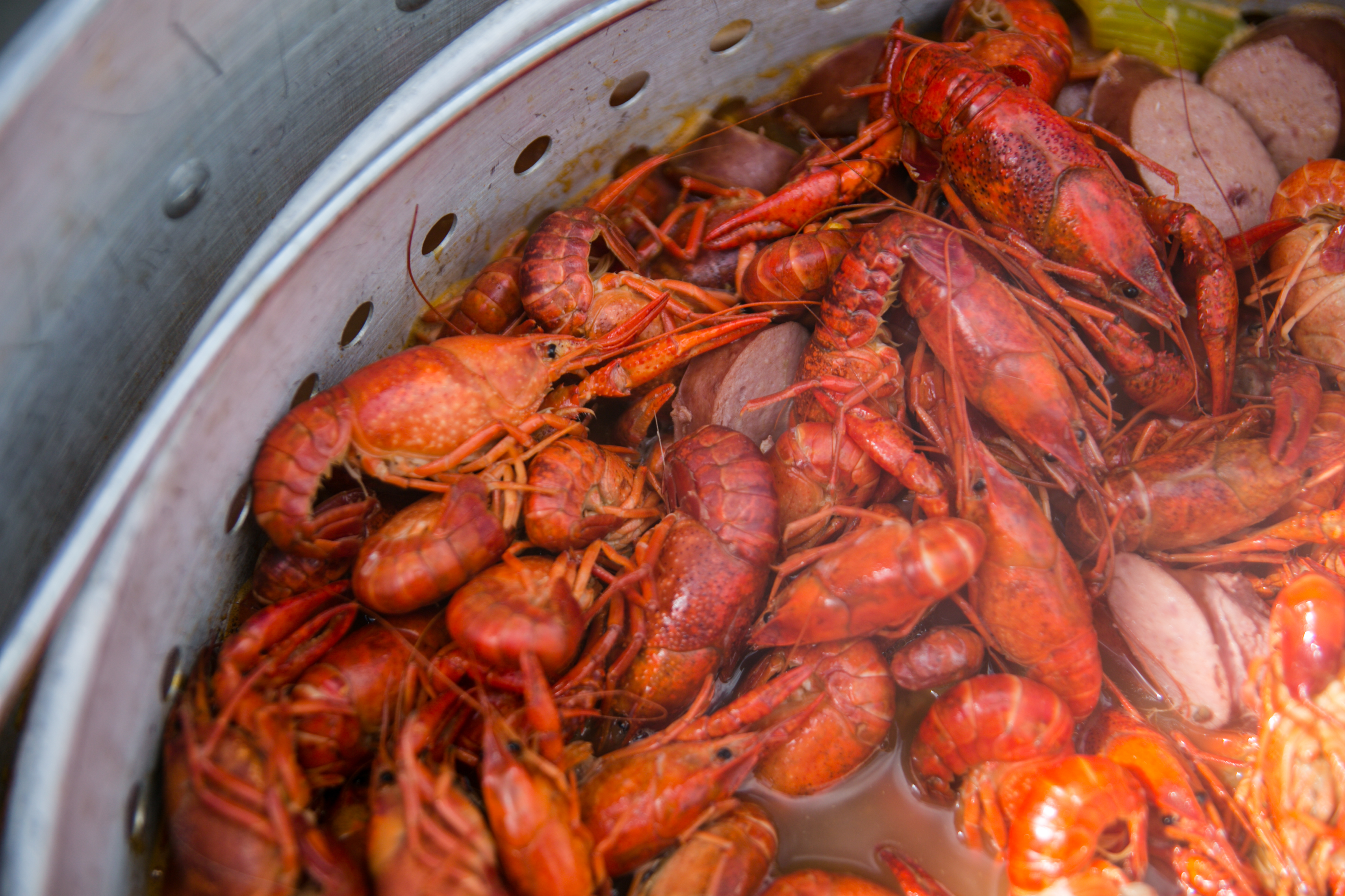 CRAYFISH BAG OUT IN OUR BACKYARD !!! CATCH & COOK OF THE BAYS