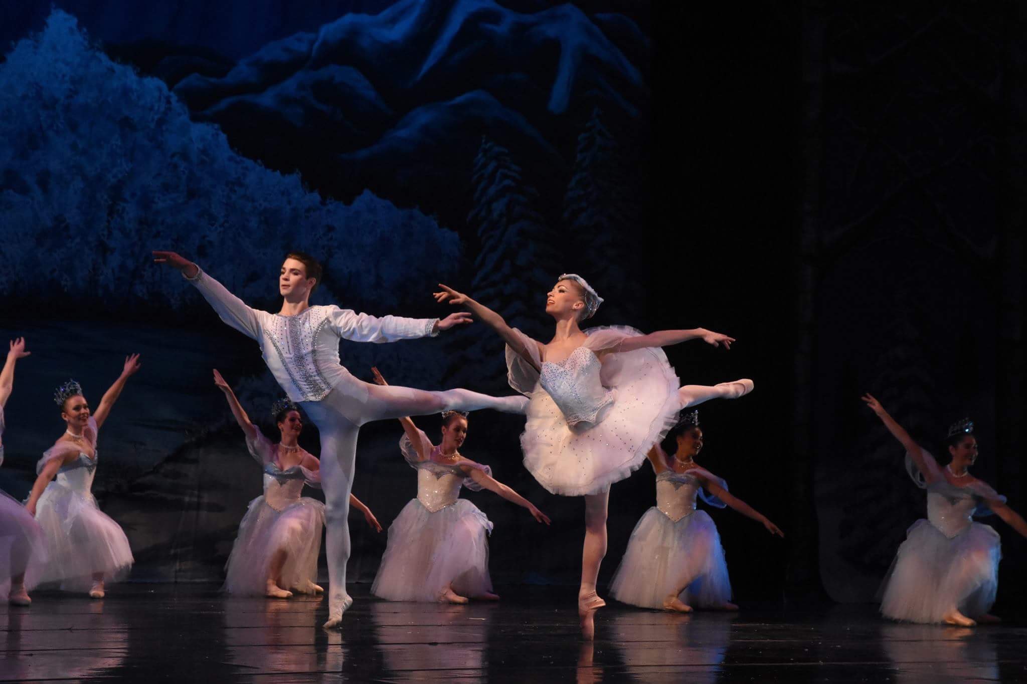 Unforgettable Arts Experiences With The Fort Wayne Ballet Visit