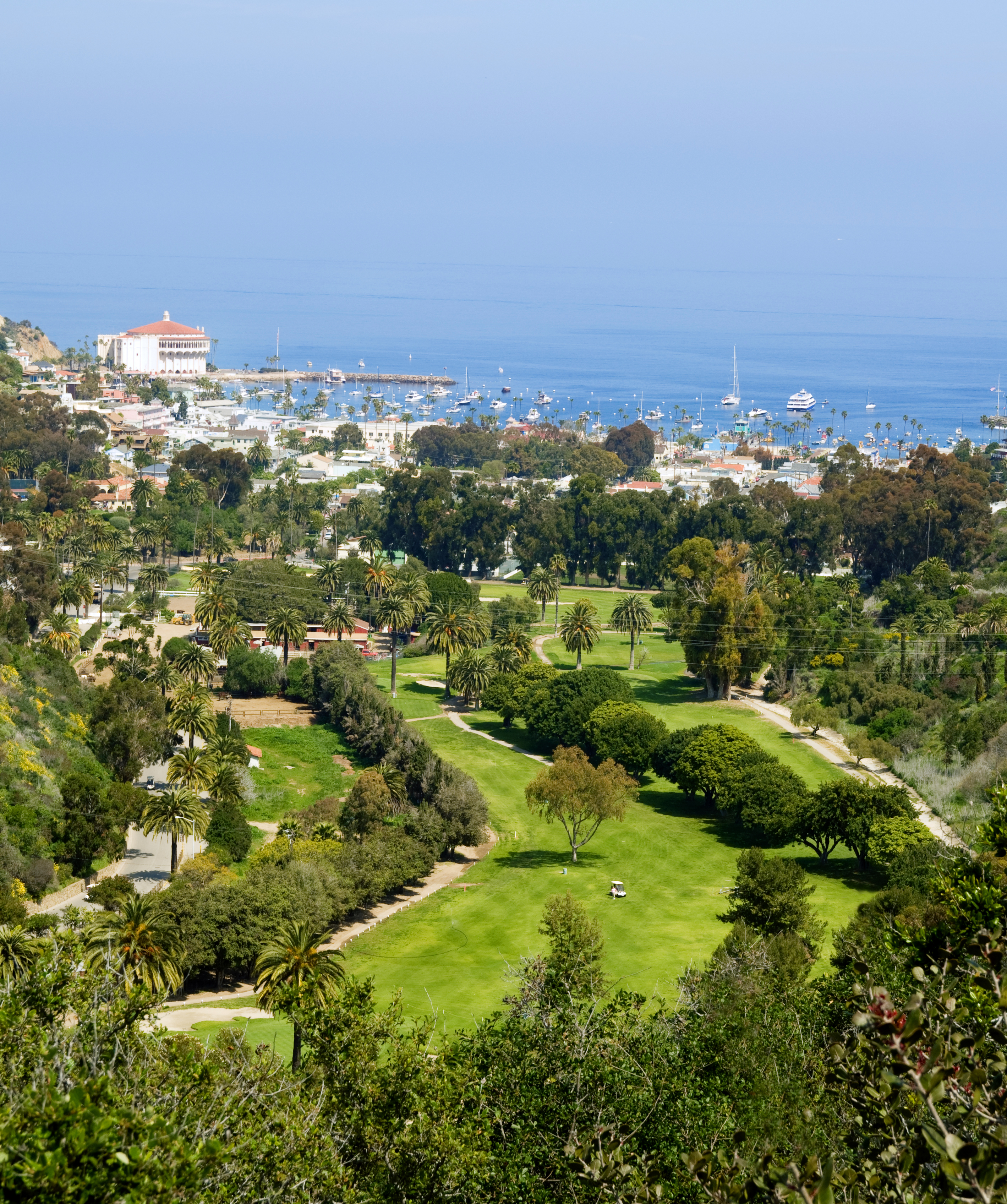 Catalina Island Mini Golf  Visit Golf Gardens Year-Round