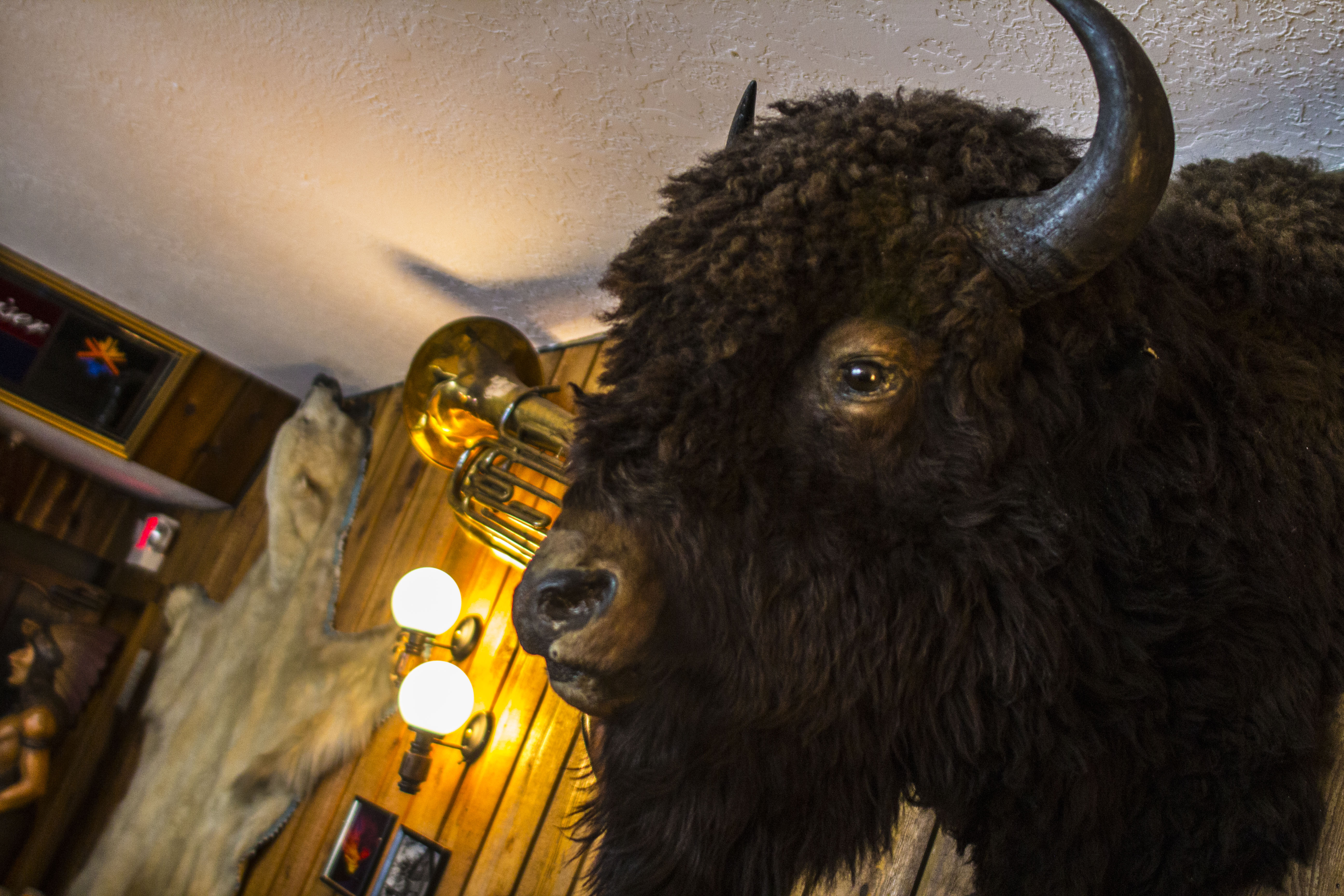 Midvale Heights Bison Celebrate >> Alta Peruvian Lodge Bar Alta Ski Area Ut Ski City Midvale Heights Bison Celebrate >> Alta Peruvian Lodge Bar Alta Ski Area Ut Ski City