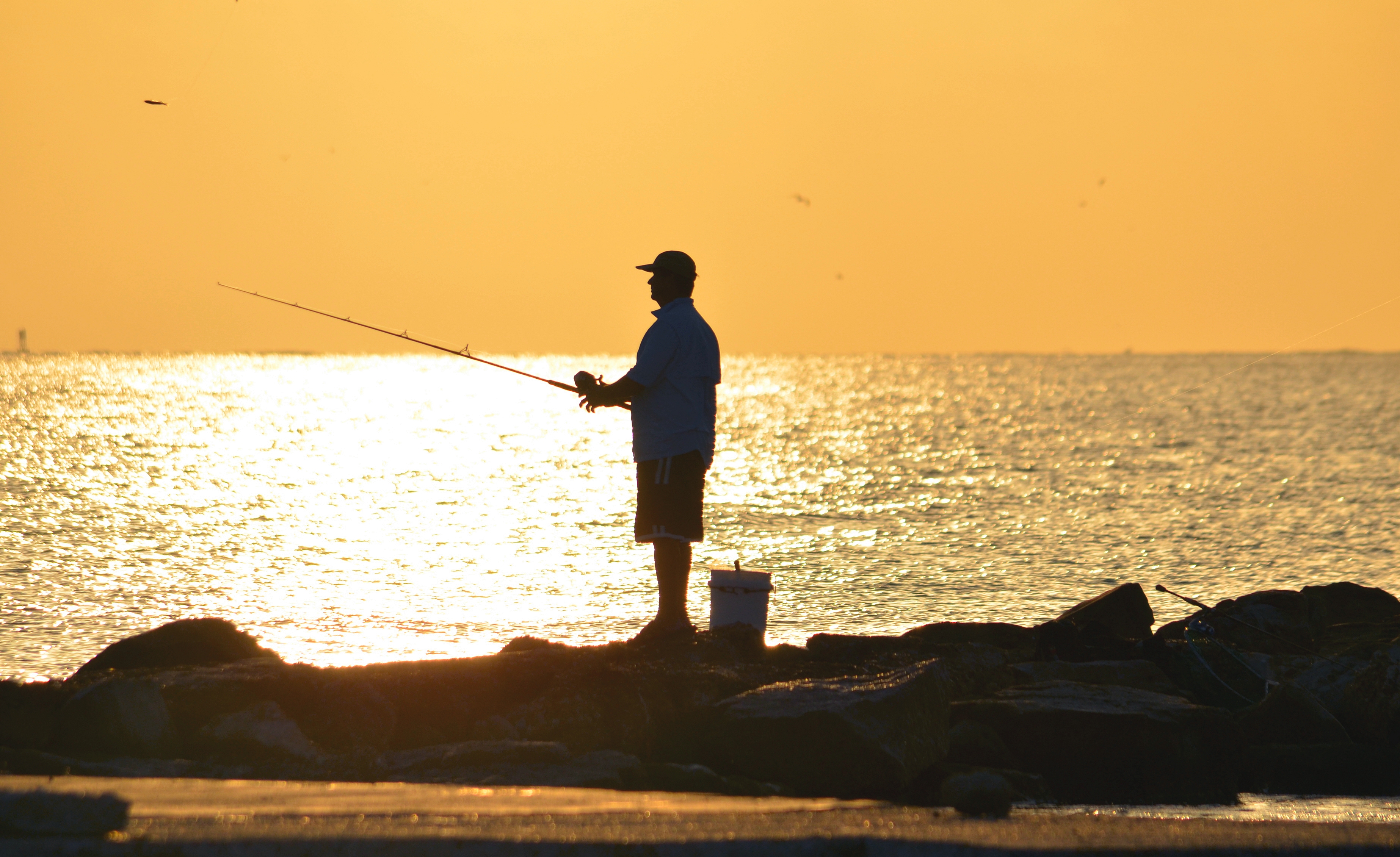 Offshore Fishing in Texas  Shorelines, Bays, Piers, & Lakes