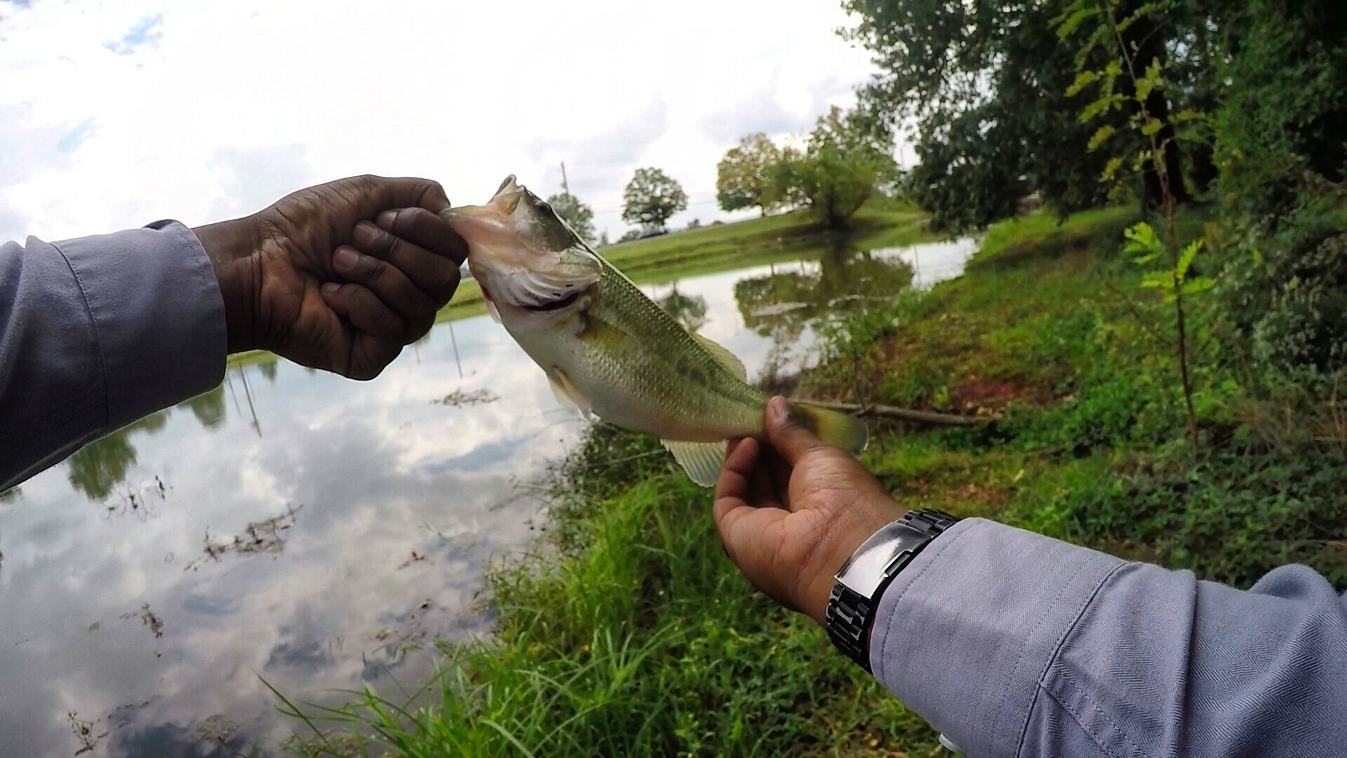 Lake Purdy - Let's Go Fishing