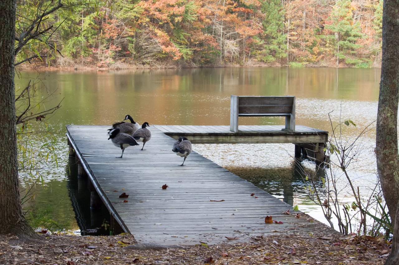 Best Winter Activities In Huntsville