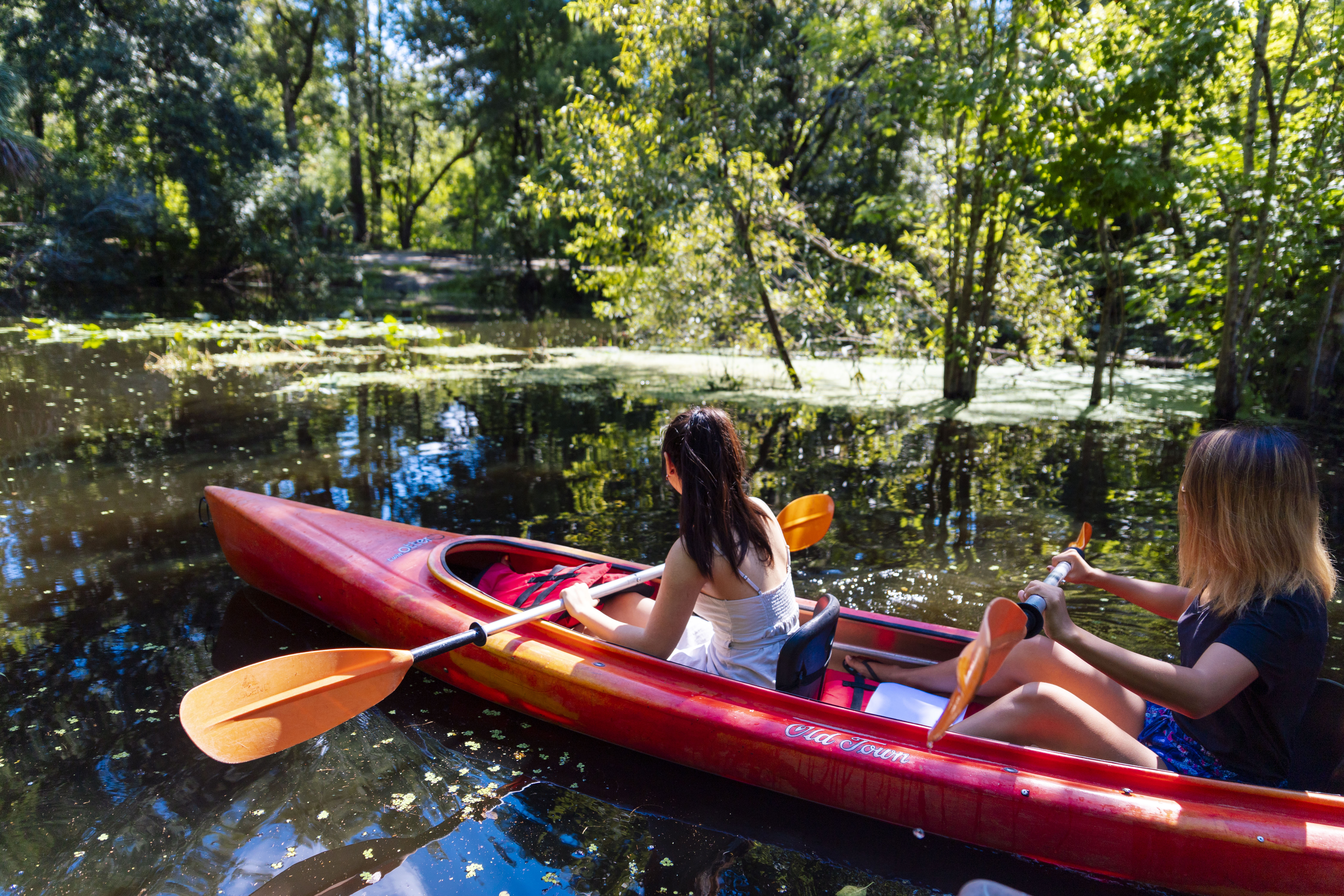 Tampa Travel Guide  Tampa Tourism - KAYAK