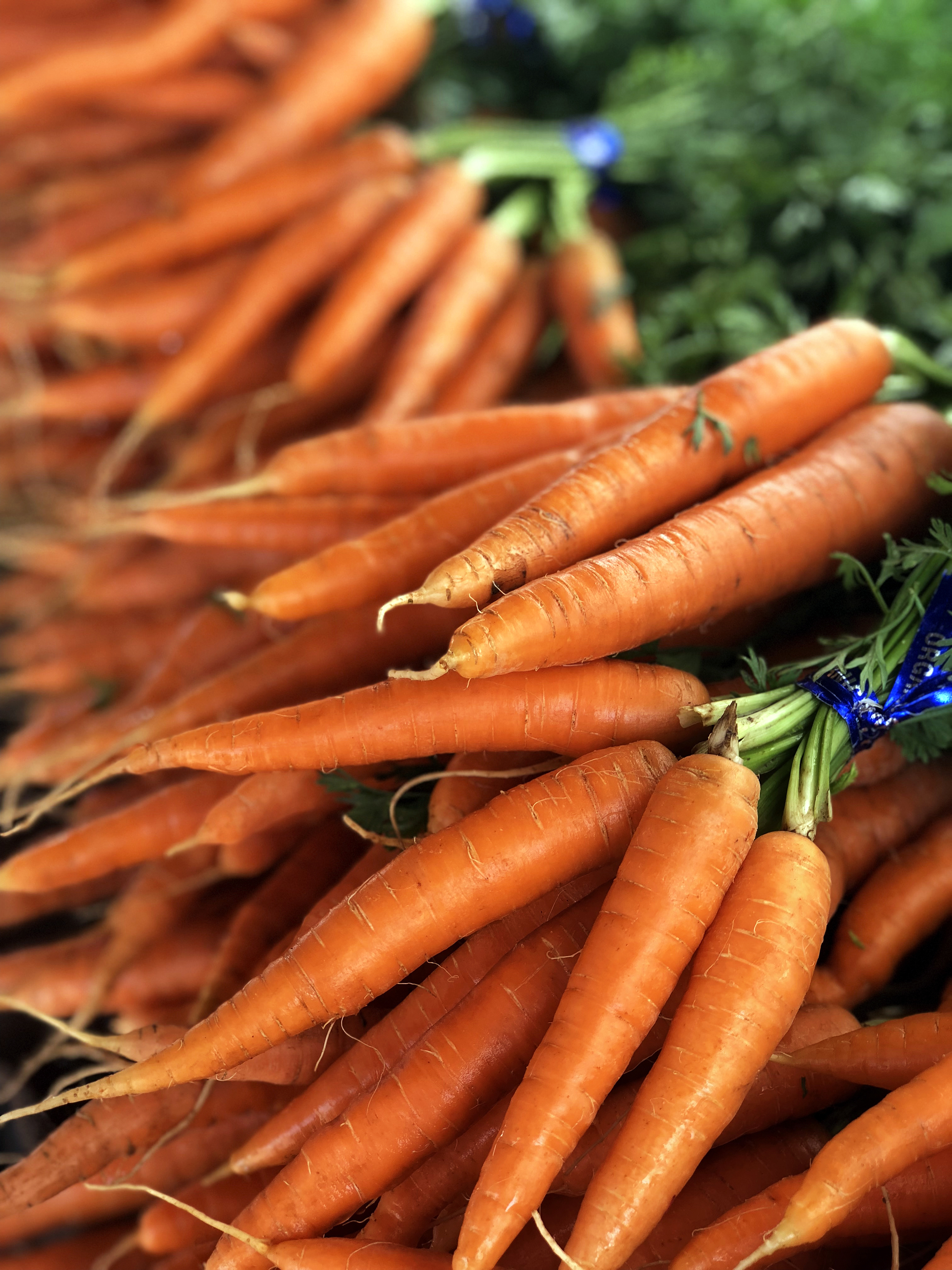 Savor The Longmont Farmers Market In Longmont Colorado