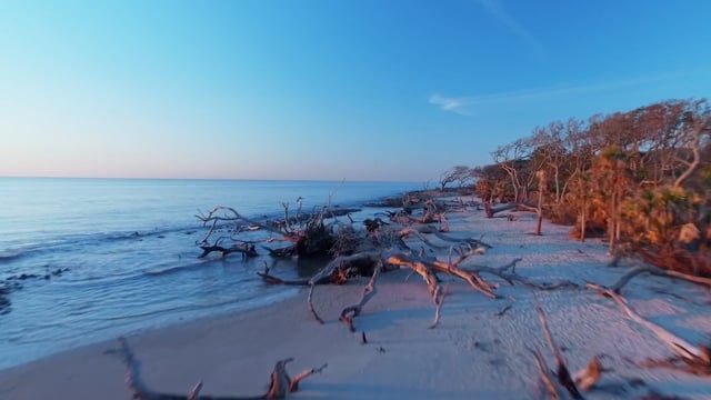 Map Of Jekyll Island Beaches Driftwood Beach Jekyll Island Directions Maps Photos