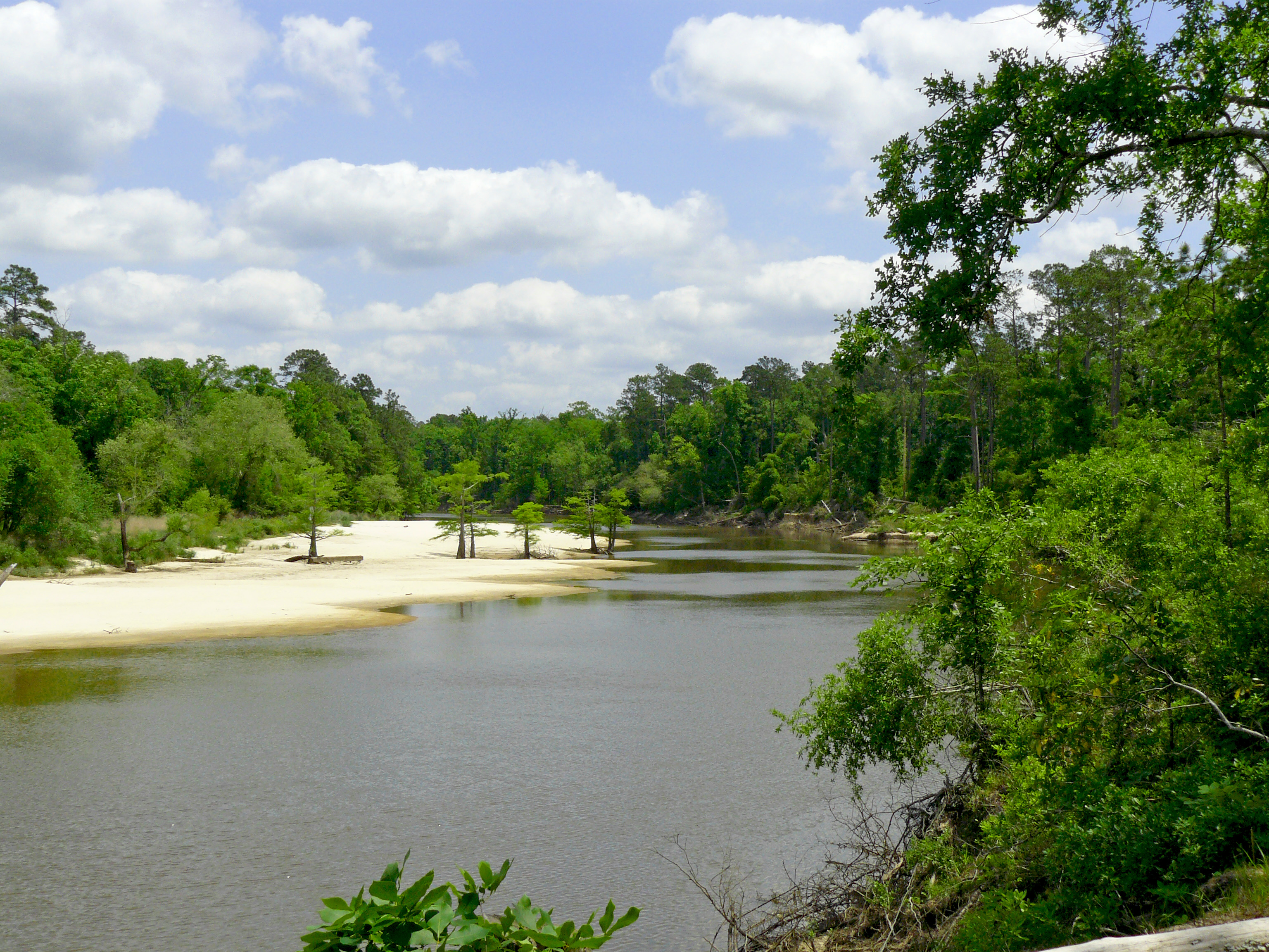 Big Thicket National Preserve Beaumont CVB