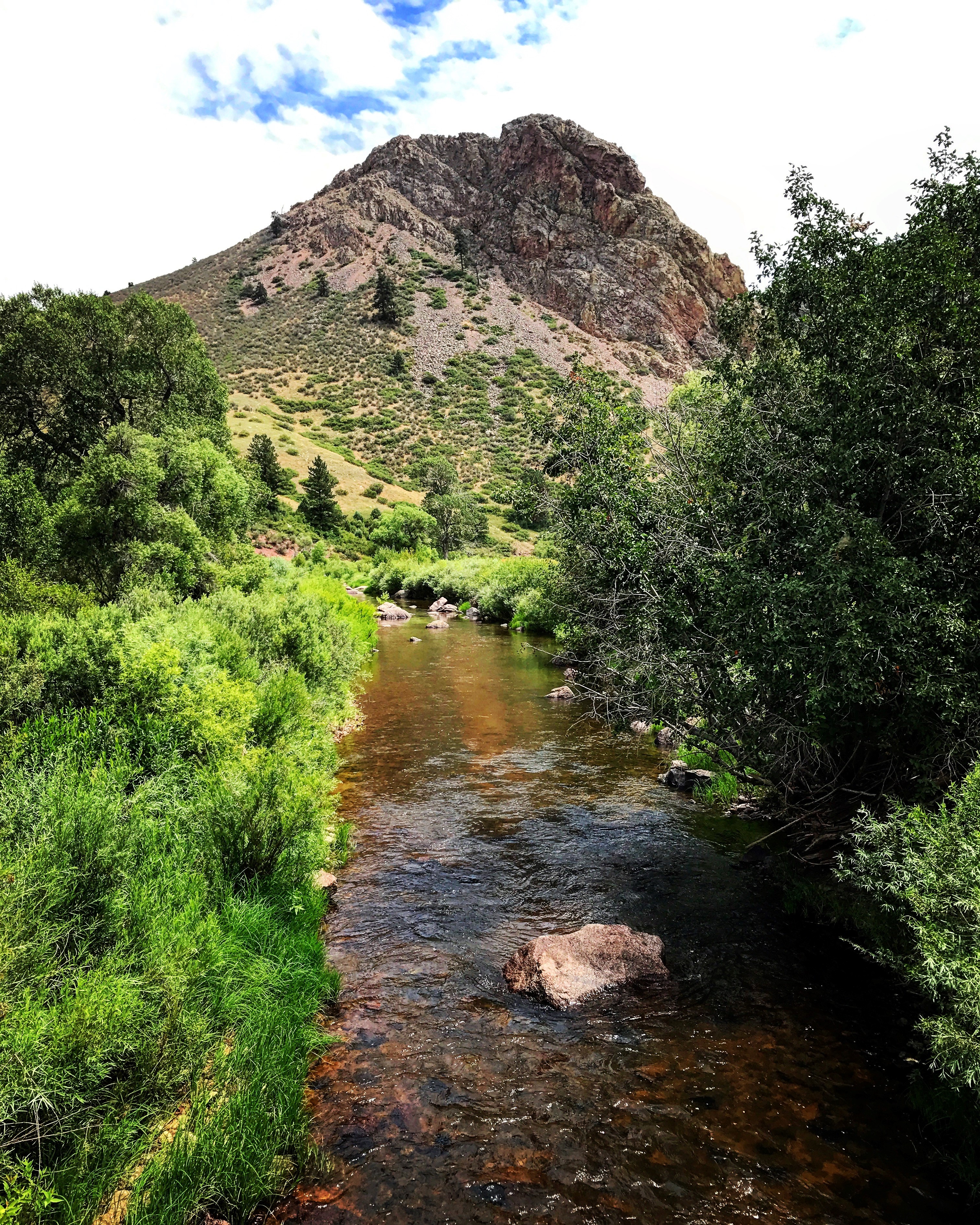 Best hikes in poudre canyon on sale