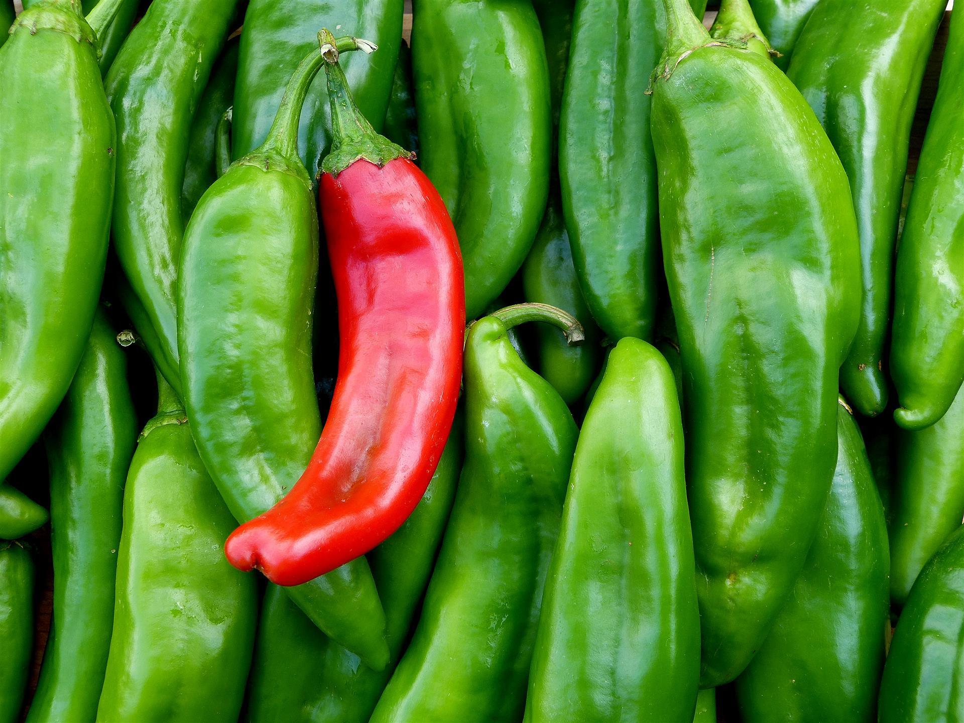 What Are Hatch Chiles and How to Use Them