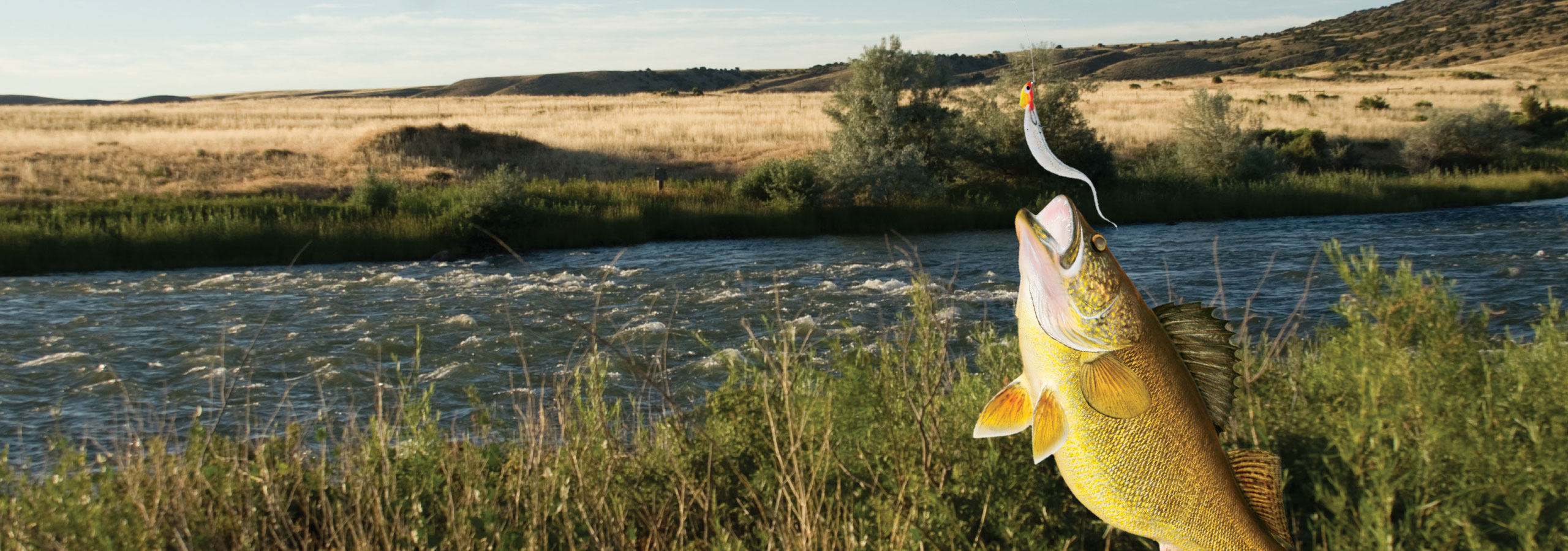 Top Places For Fishing Near Casper Locals Love