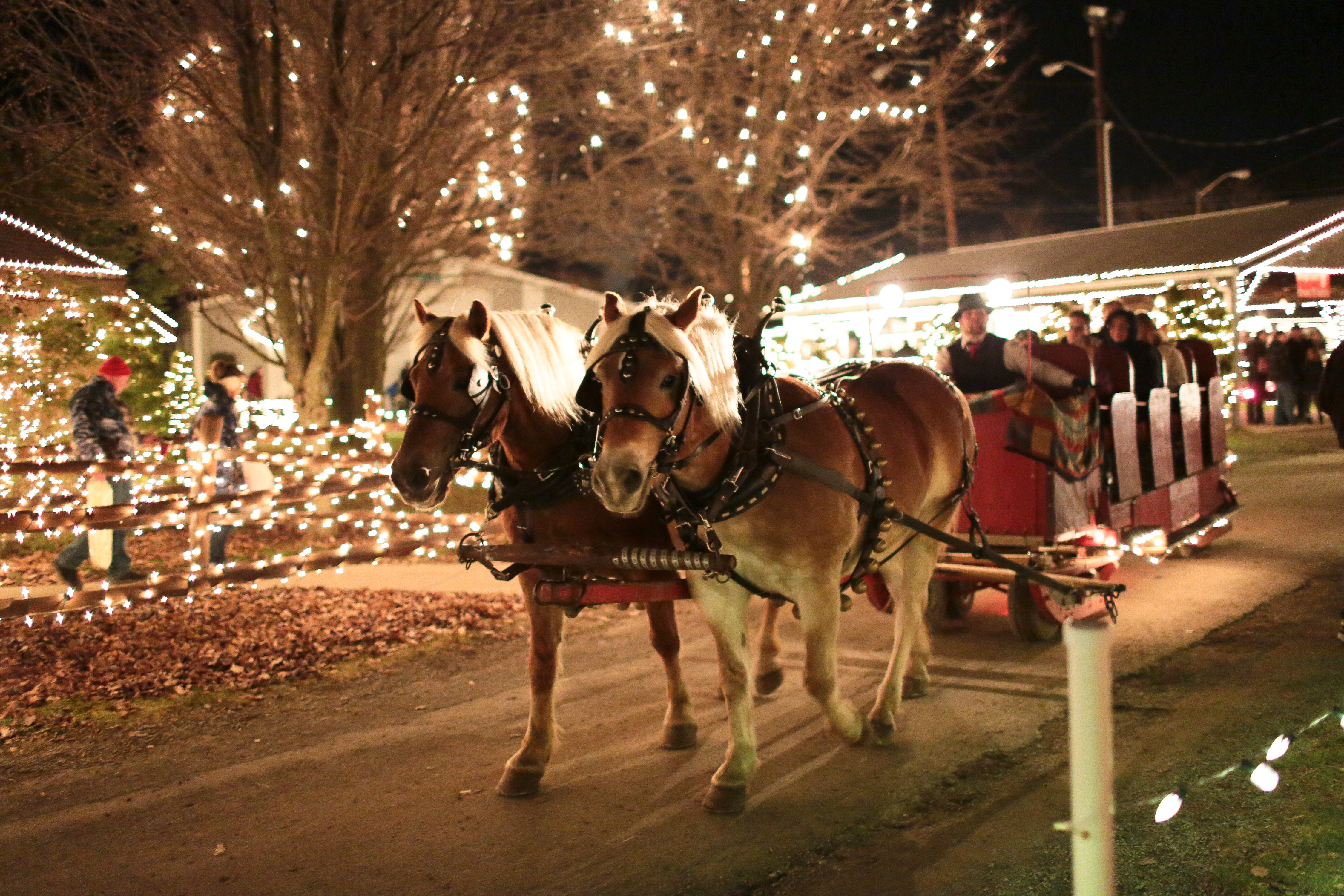 Butler Pa Christmas Parade Pictures 2022 Winter Festivals In Laurel Highlands | Tree Lights & Parades