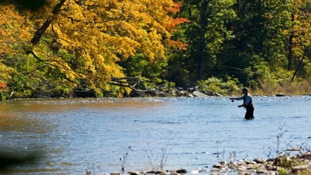 New York Fishing  Outdoor Adventures & Things to Do