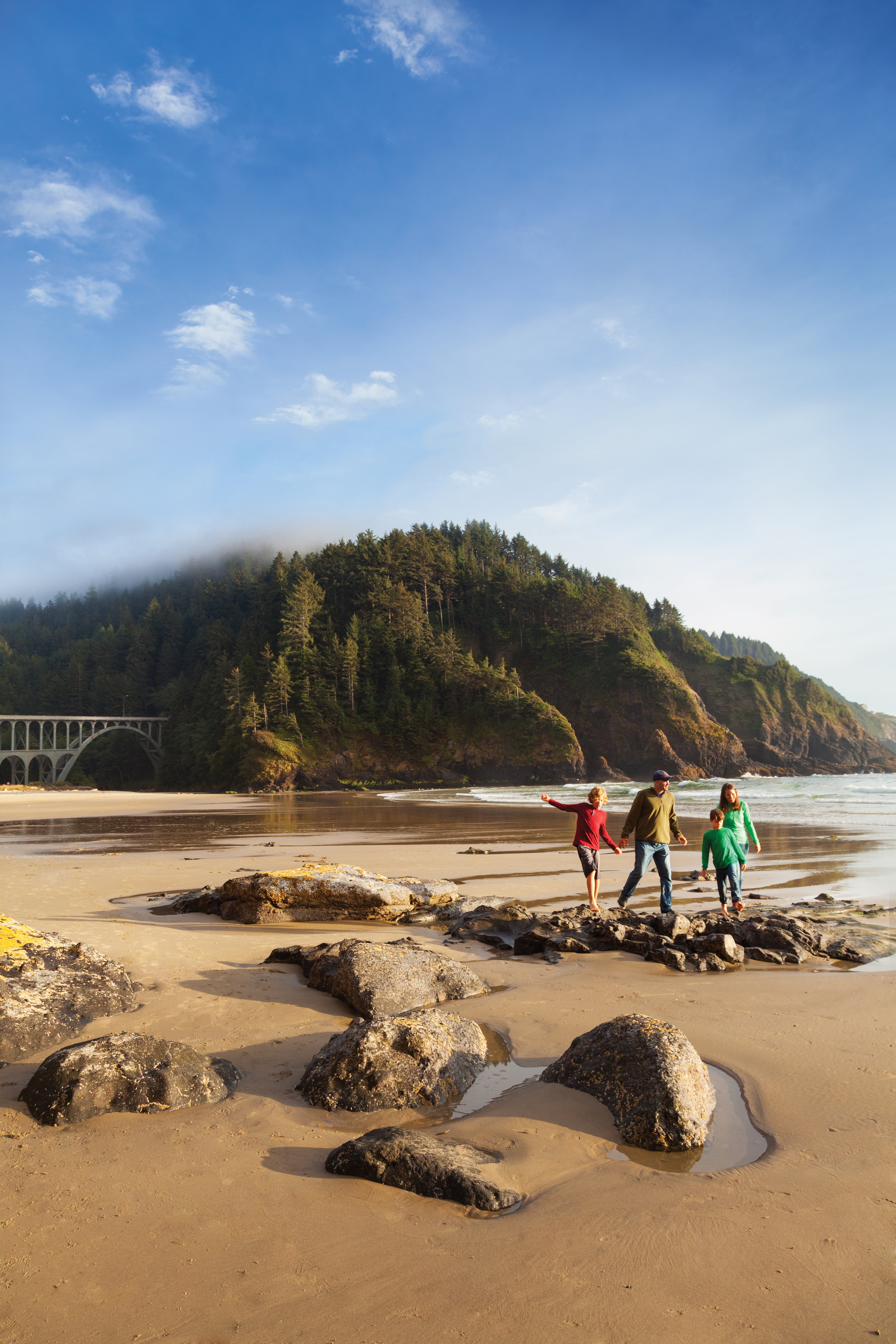 are dogs allowed on oregon coast beaches