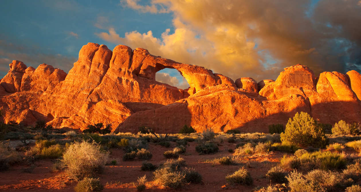 are dogs allowed at arches national park