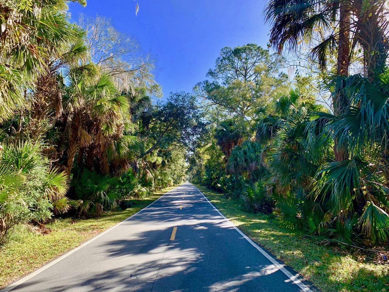Motorcycle rides near me deals