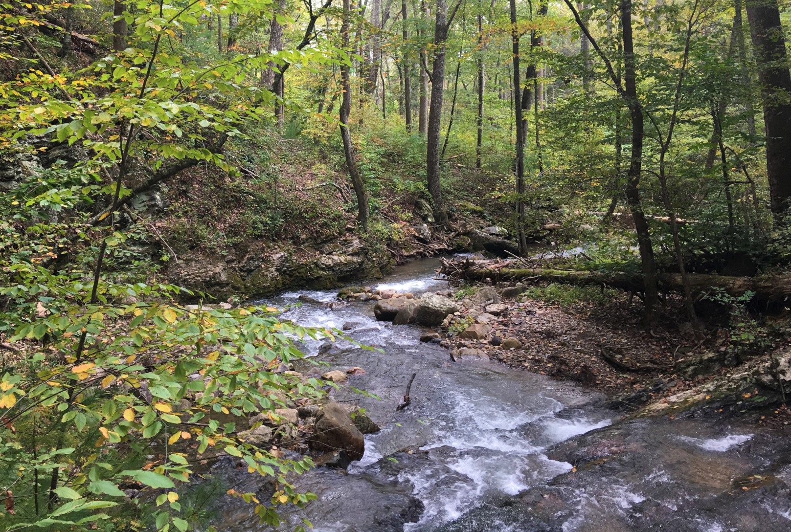 George Washington and Jefferson National Forests Near Roanoke, VA