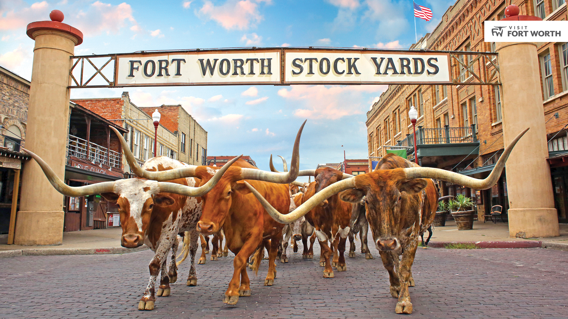 Stockyards National Historic District In Fort Worth The Herd