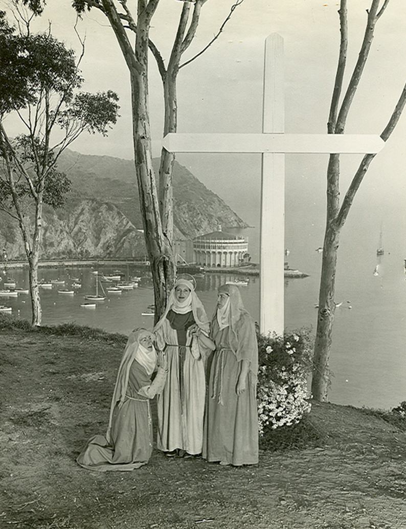 The Red Eyed Tree Frog - When disturbed, they flash their bulging red eyes  and reveal their huge, webbed orange feet and bright blue-and-yellow  flanks, offering a precious instant for the frog, image size:794x1034