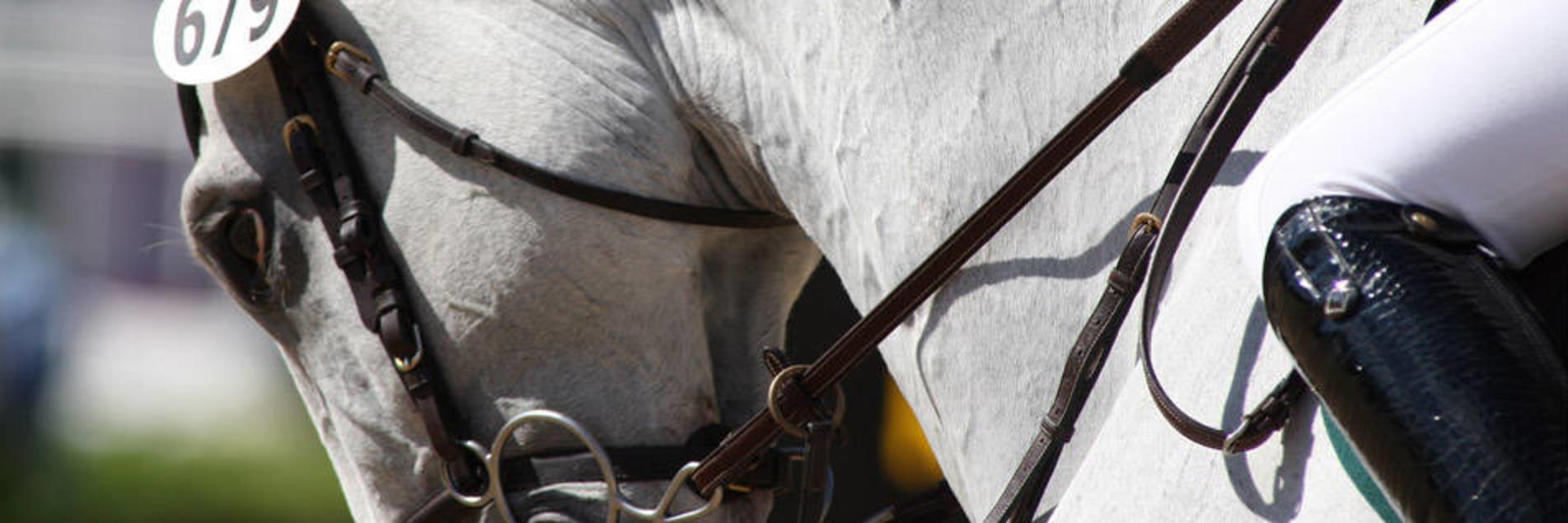 nearest tack shop to me