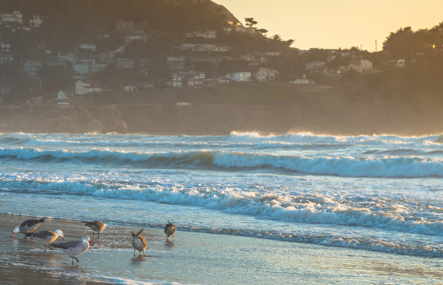 Discover Pacifica, CA  Find Hotels, Restaurants & Things to Do