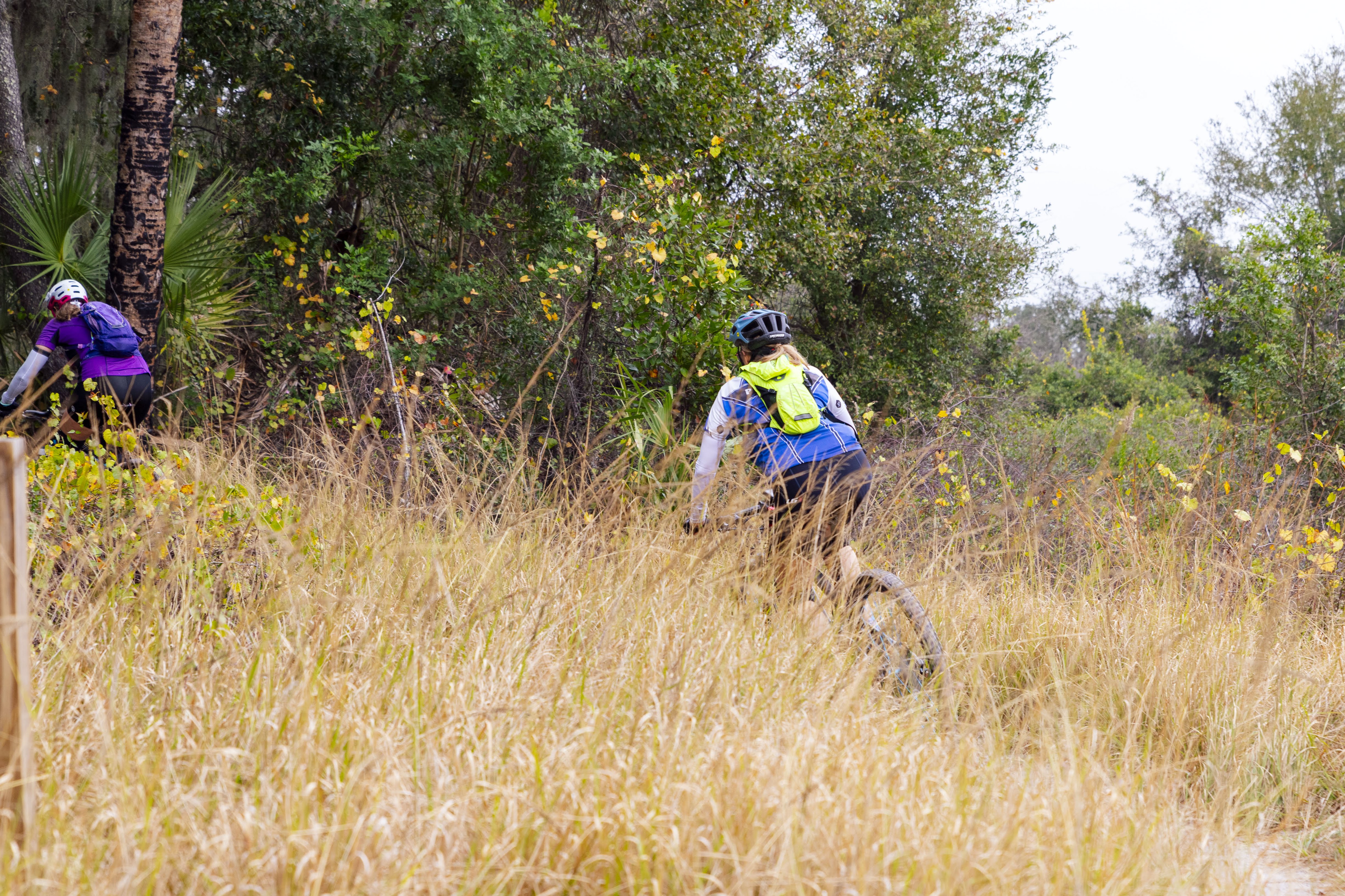 alafia bike shop
