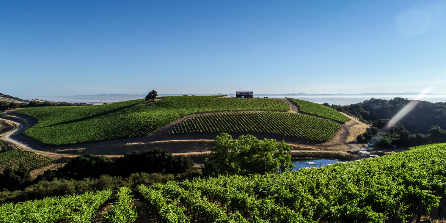 Best California Winery Tour - Halter Ranch Winery 