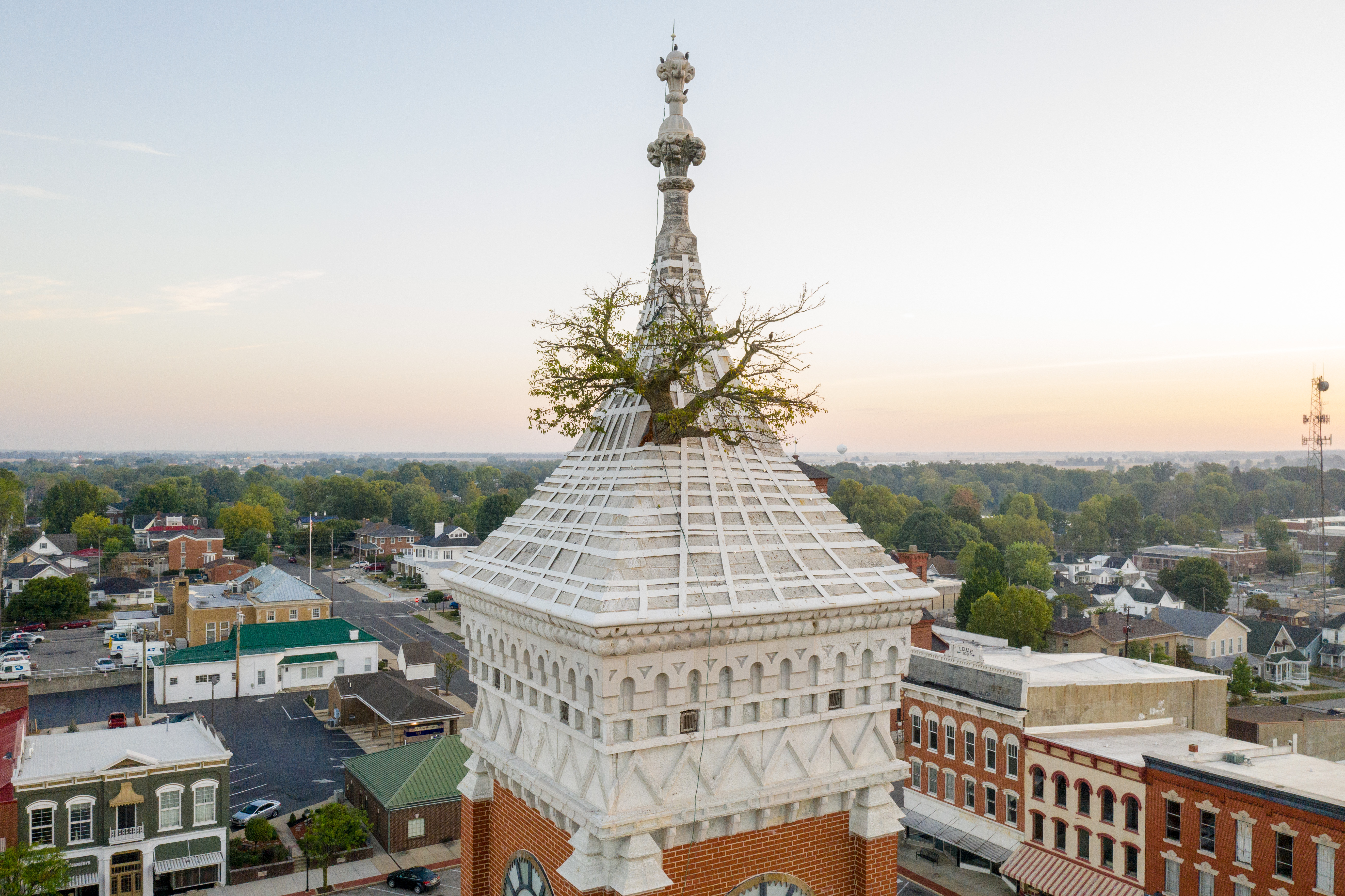 インディアナ州　The Tower Tree グリーンズバーグ Tower Tree - Visit Greensburg