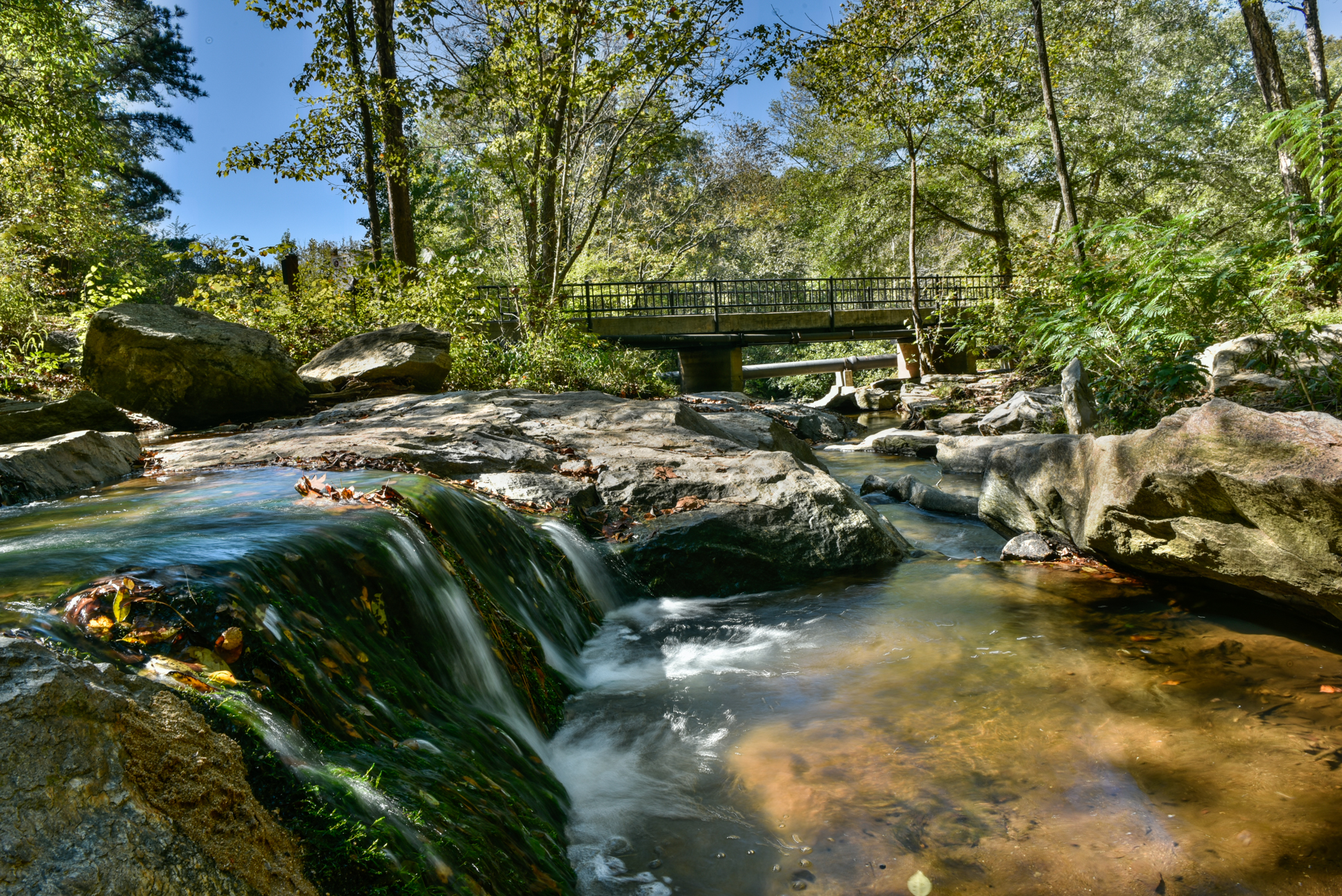 Athens, GA Sports Parks & Recreation | Parks in Athens, GA