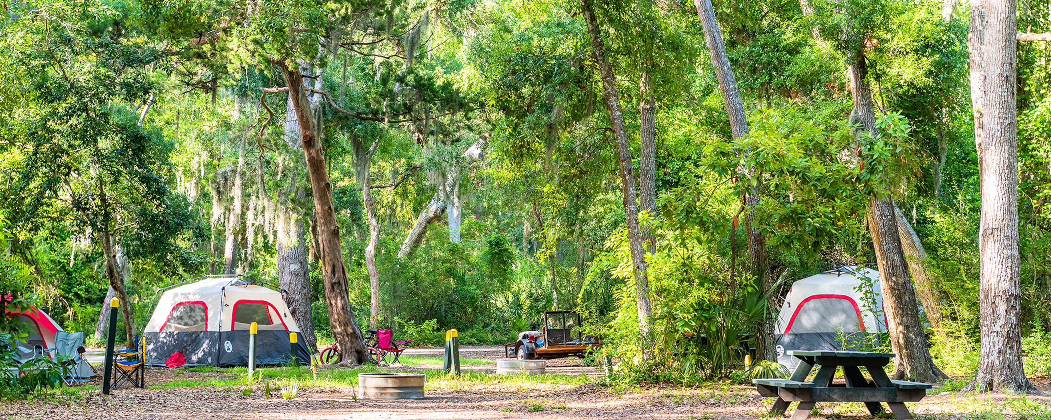 Rv Tent Camping On The Georgia Coast Golden Isles Georgia