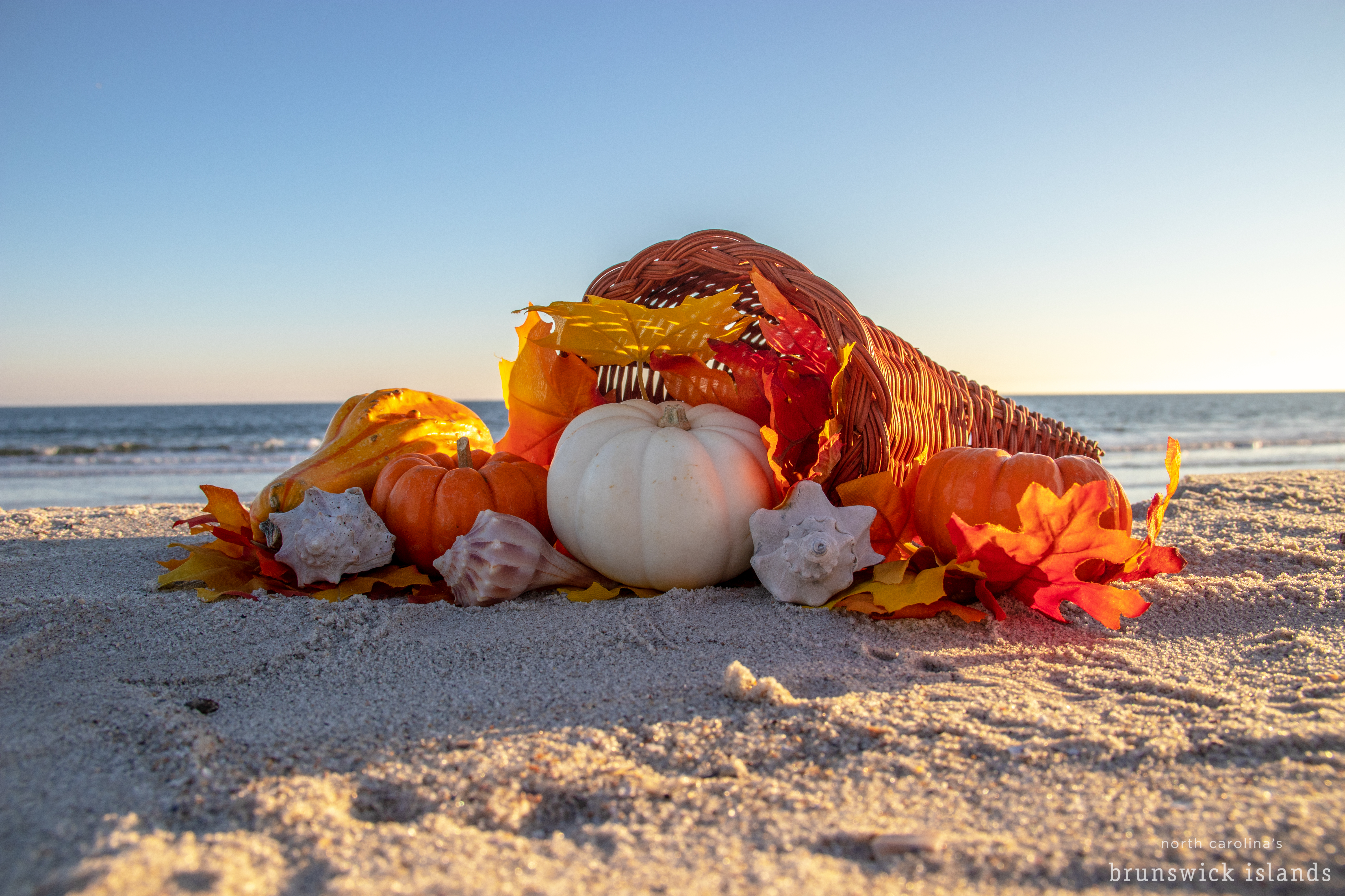 Celebrate Thanksgiving At The Beach In Nc S Brunswick Islands