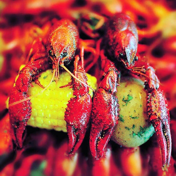 Best Crawfish in Beaumont Texas Crawfish Trail