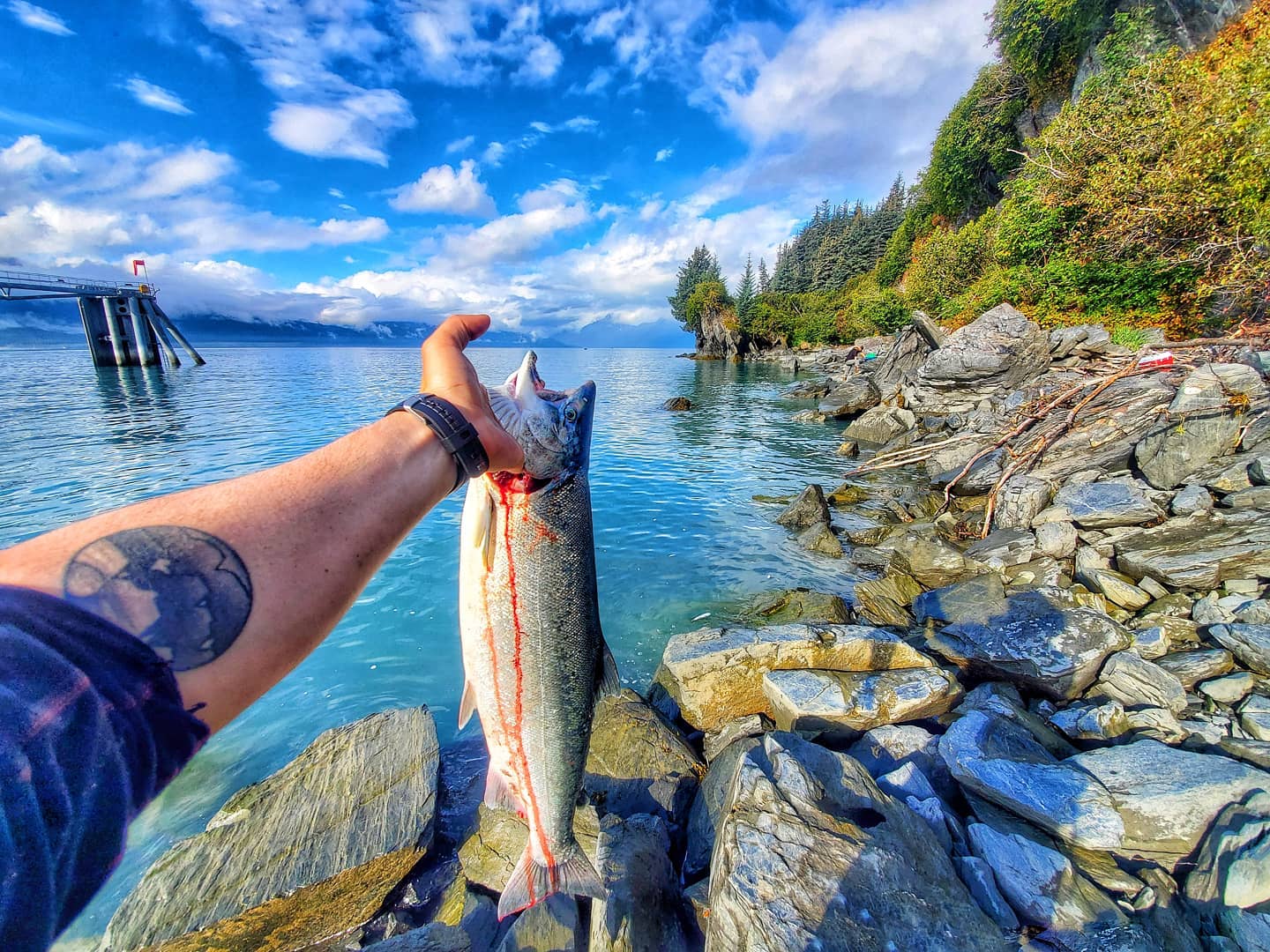 Victory In Valdez: Coho Salmon – Fish On in the Yukon