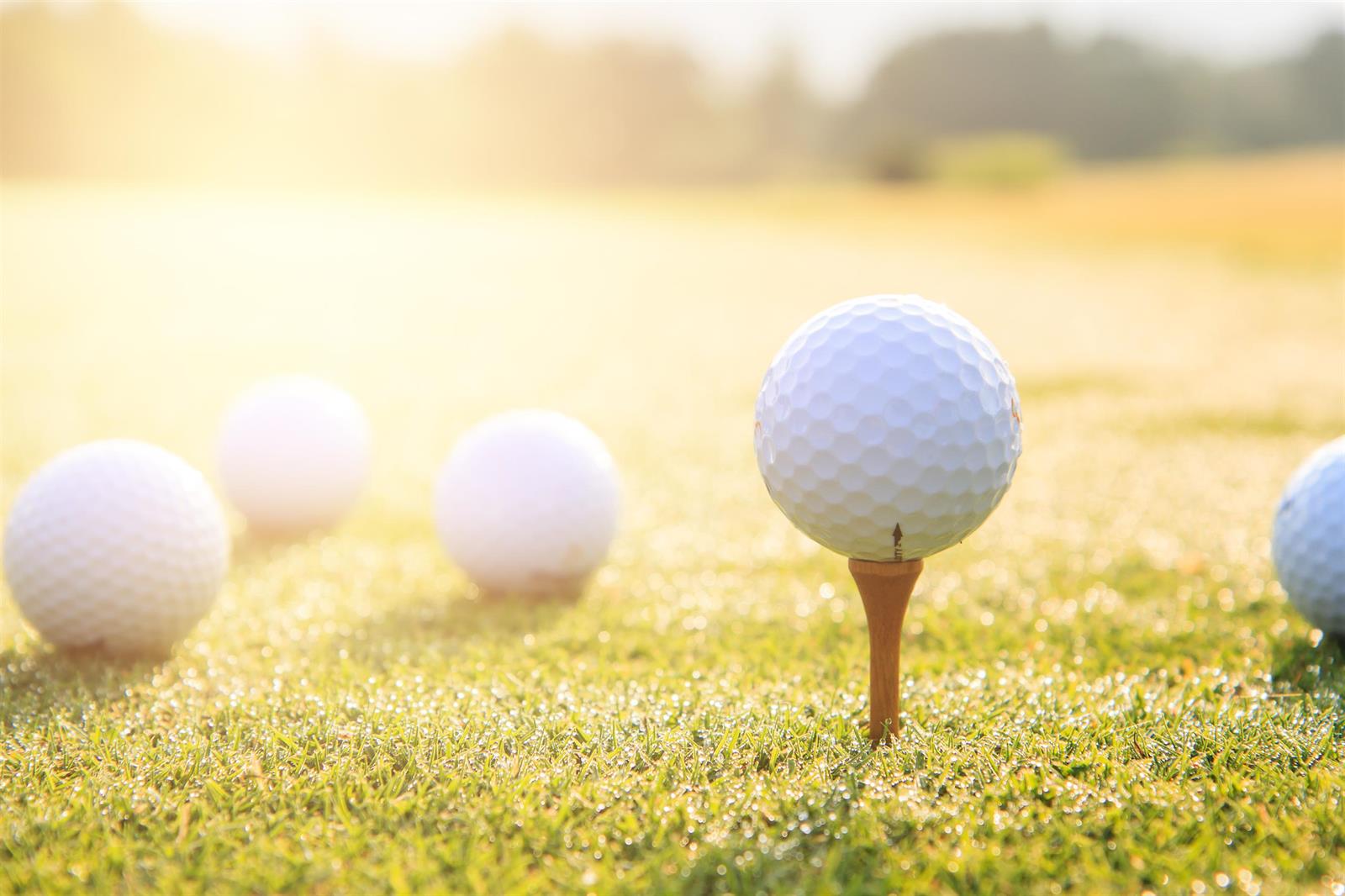 Golf Courses in PG County | Courses Open to the Public