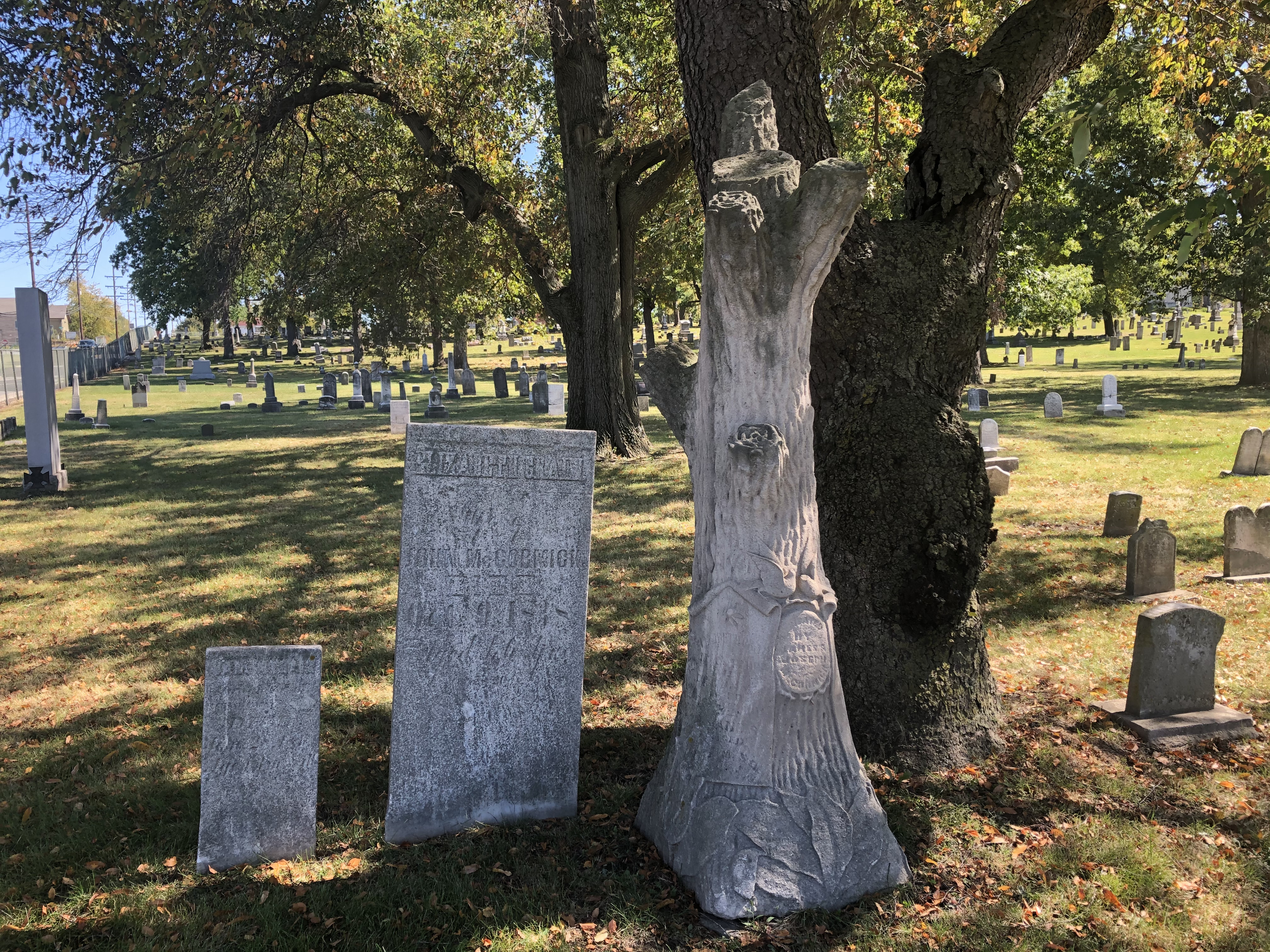 are dogs allowed at springvale cemetery