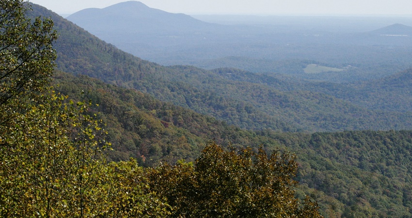 North Georgia Wildlife Guide, Blue Ridge Mountains