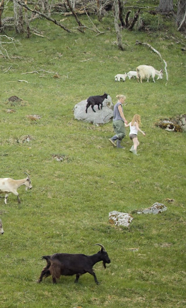 INTRO TO HARD CHEESE + WAX A WHEEL w/Goat Farm Tour - Sept. 25th