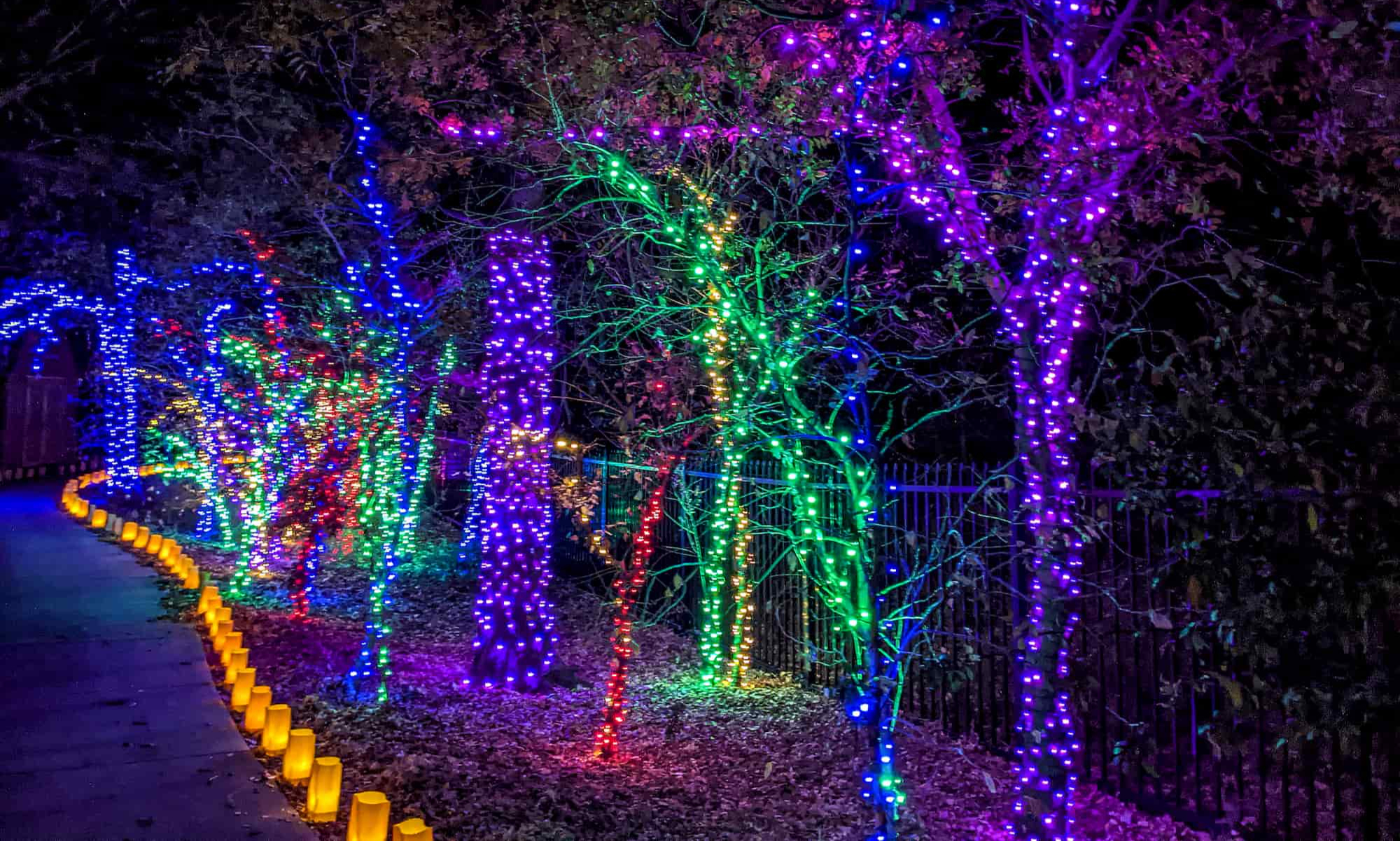 Christmas Lights Botanical Gardens 2022 Illuminations At Botanica Wichita - Best Holiday Lights