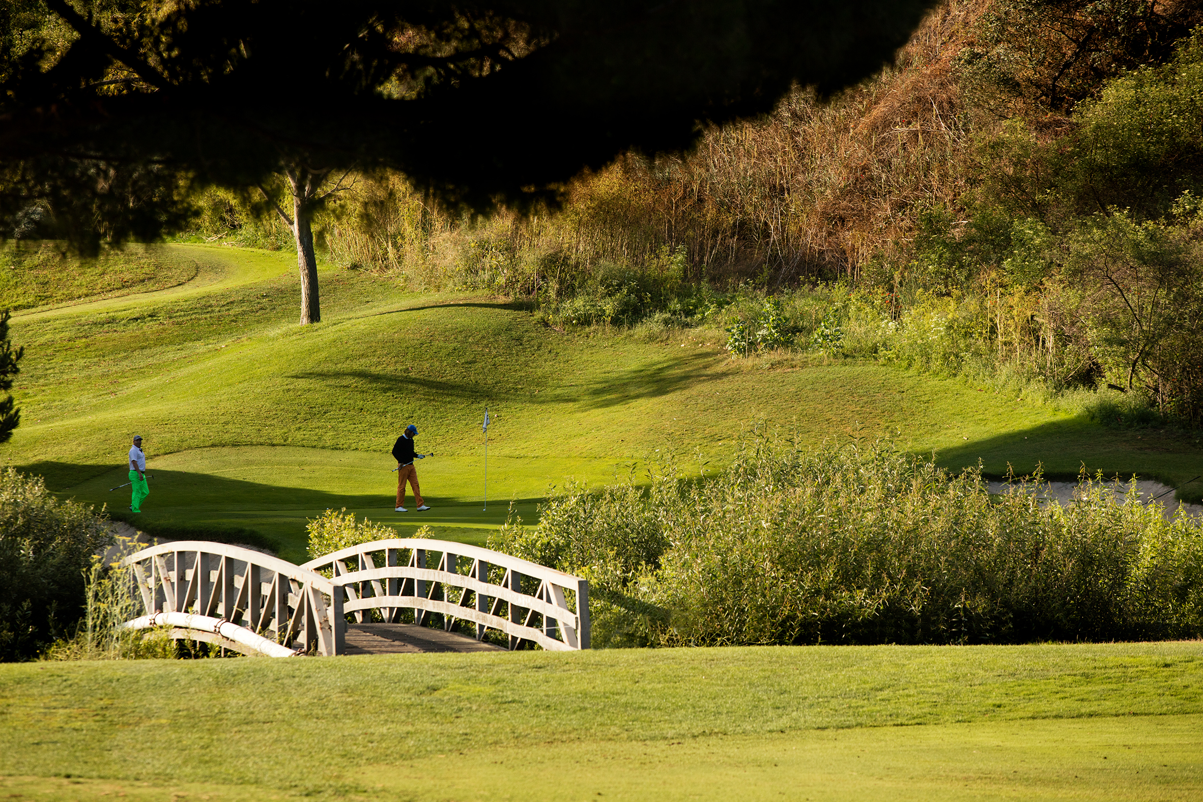 Golfing in Anaheim, CA | Orange County Golf Courses & Golf Clubs